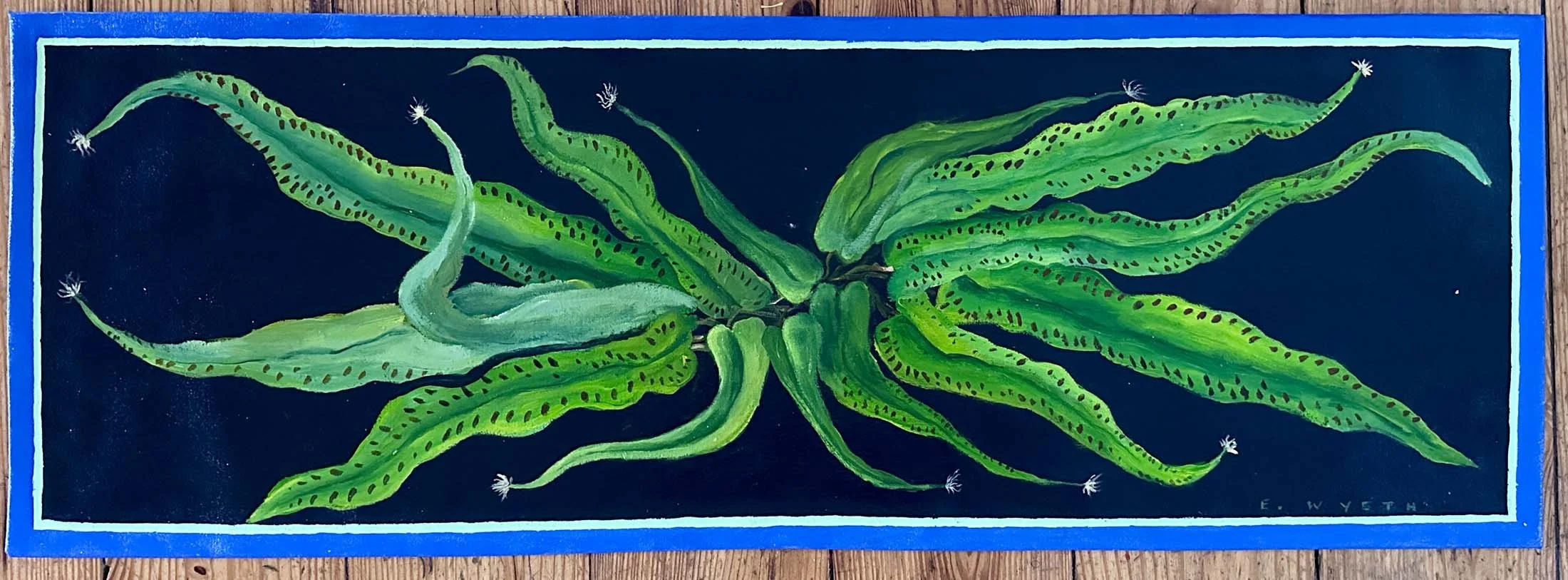 Asplenium Fern Runner, 15" x 44" .jpg