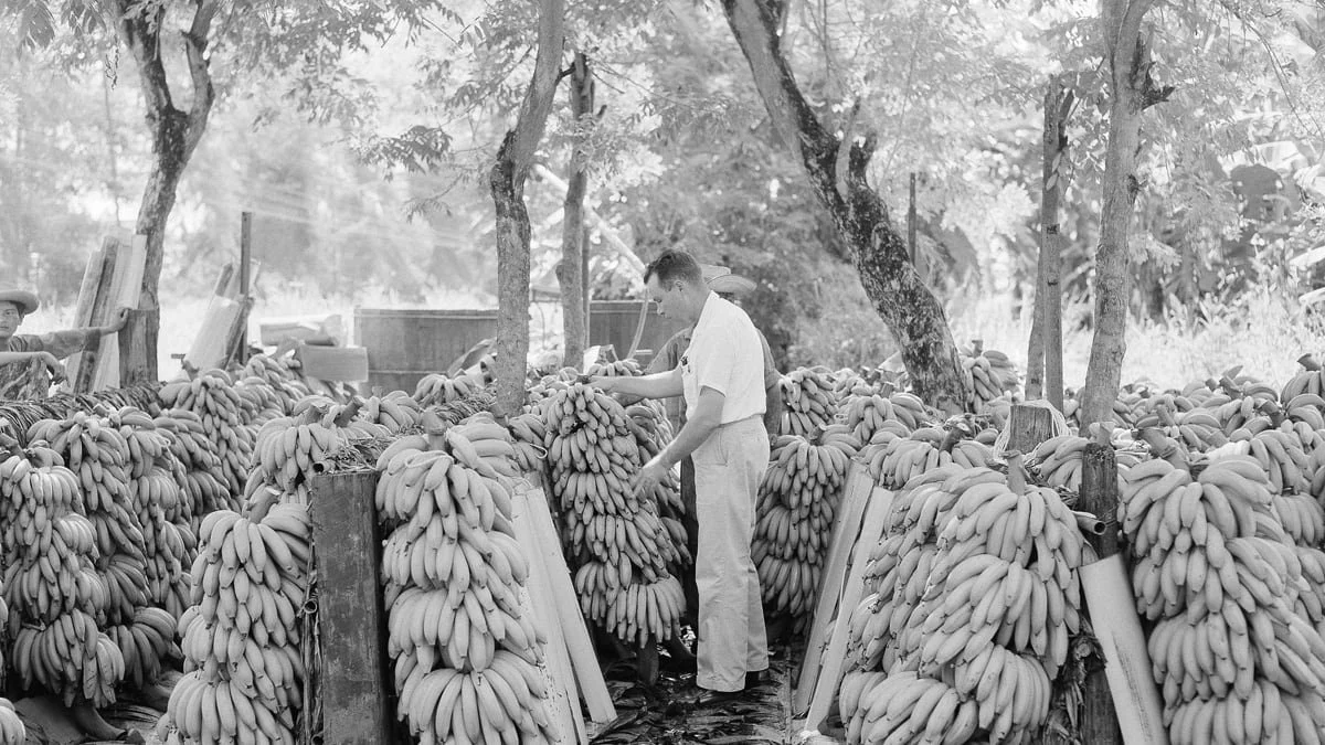 The Incredible Story of Sam Zemurray "The Fish That Ate the Whale