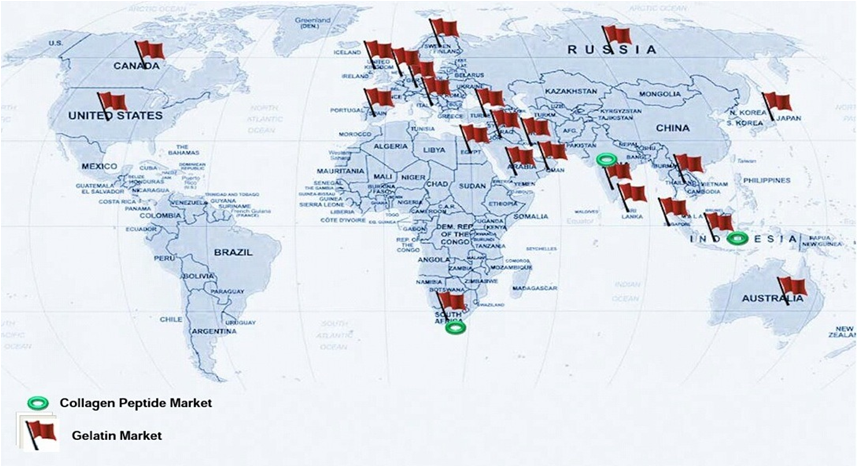 Estimate global consumption of gelatin and collagen
