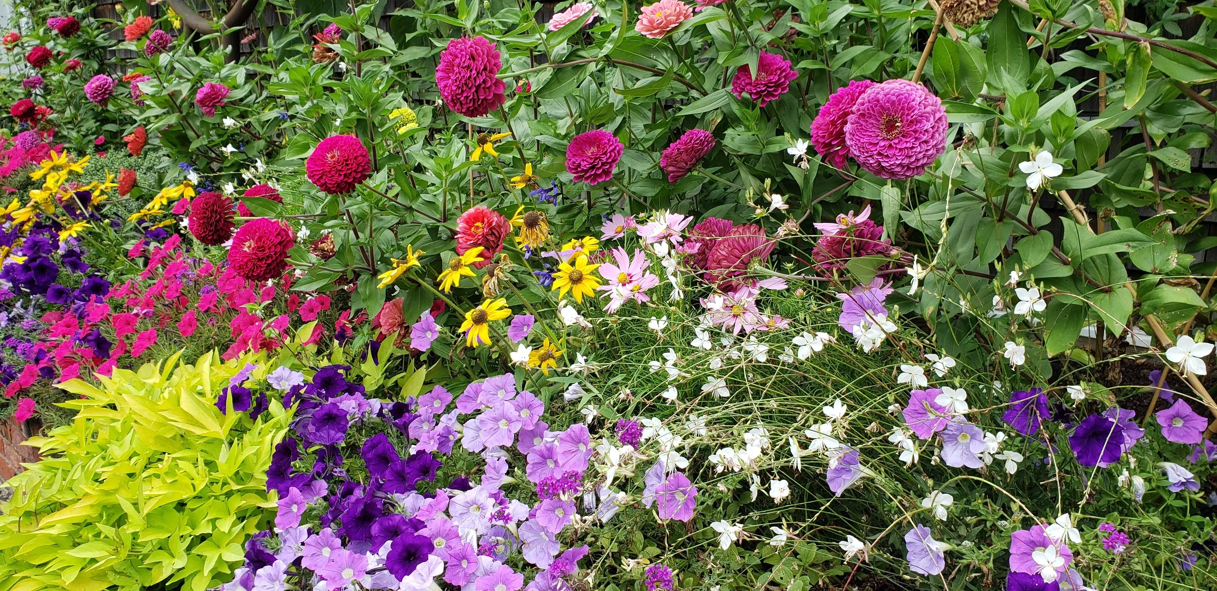 garden1.jpg