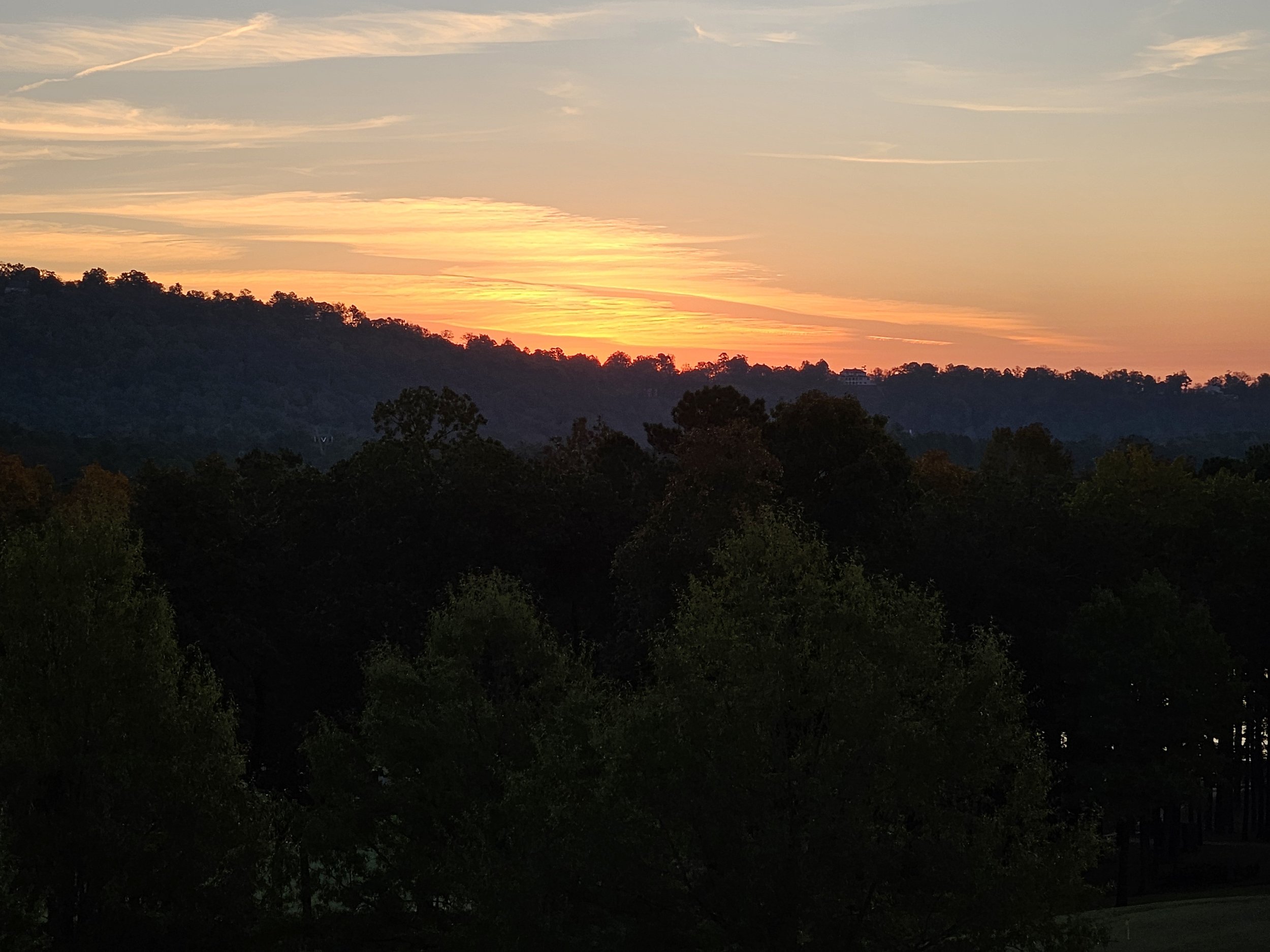 20251105_060932.jpg