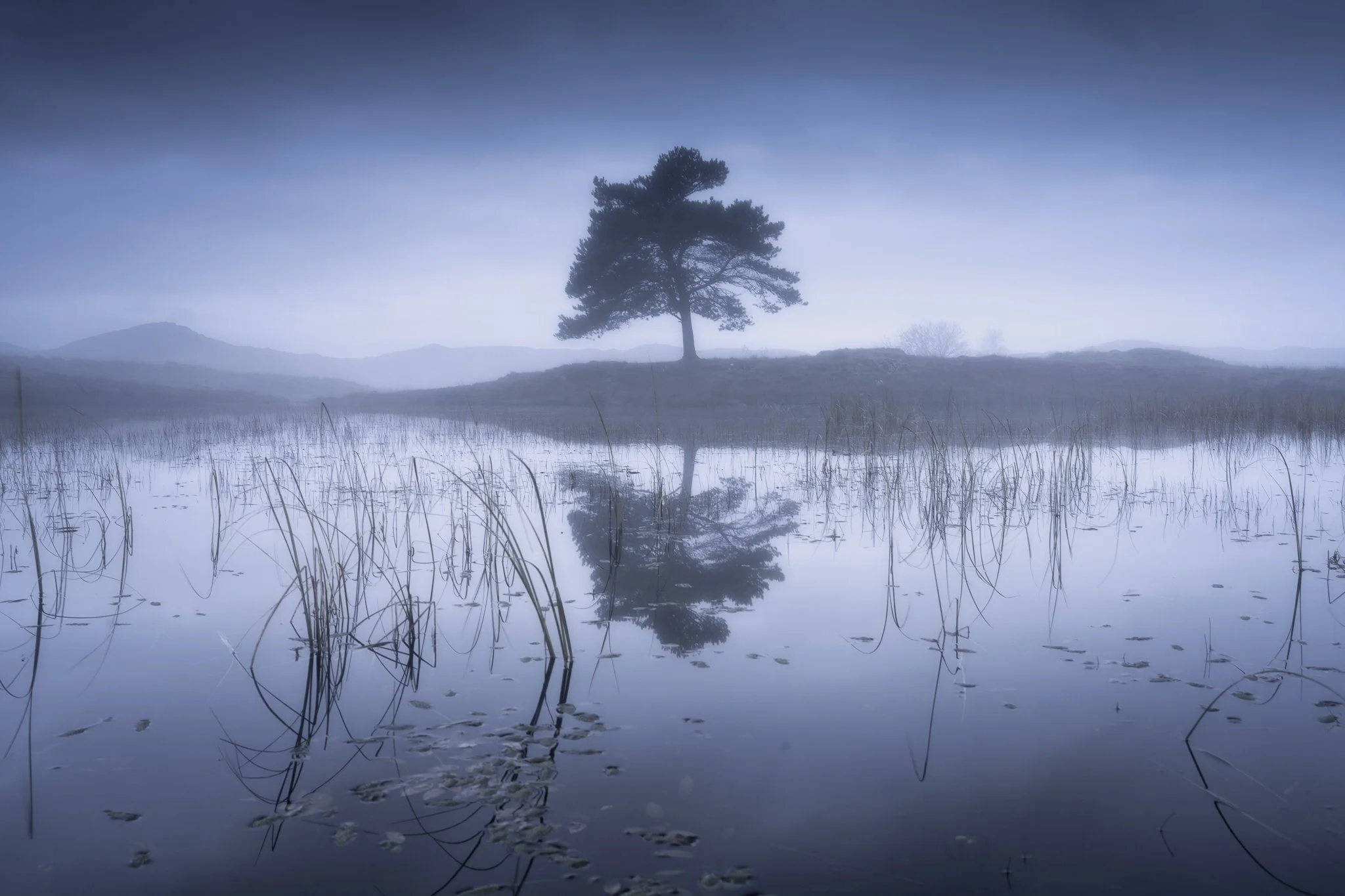Kelly Hall Tarn - Torver - Lake District National Park