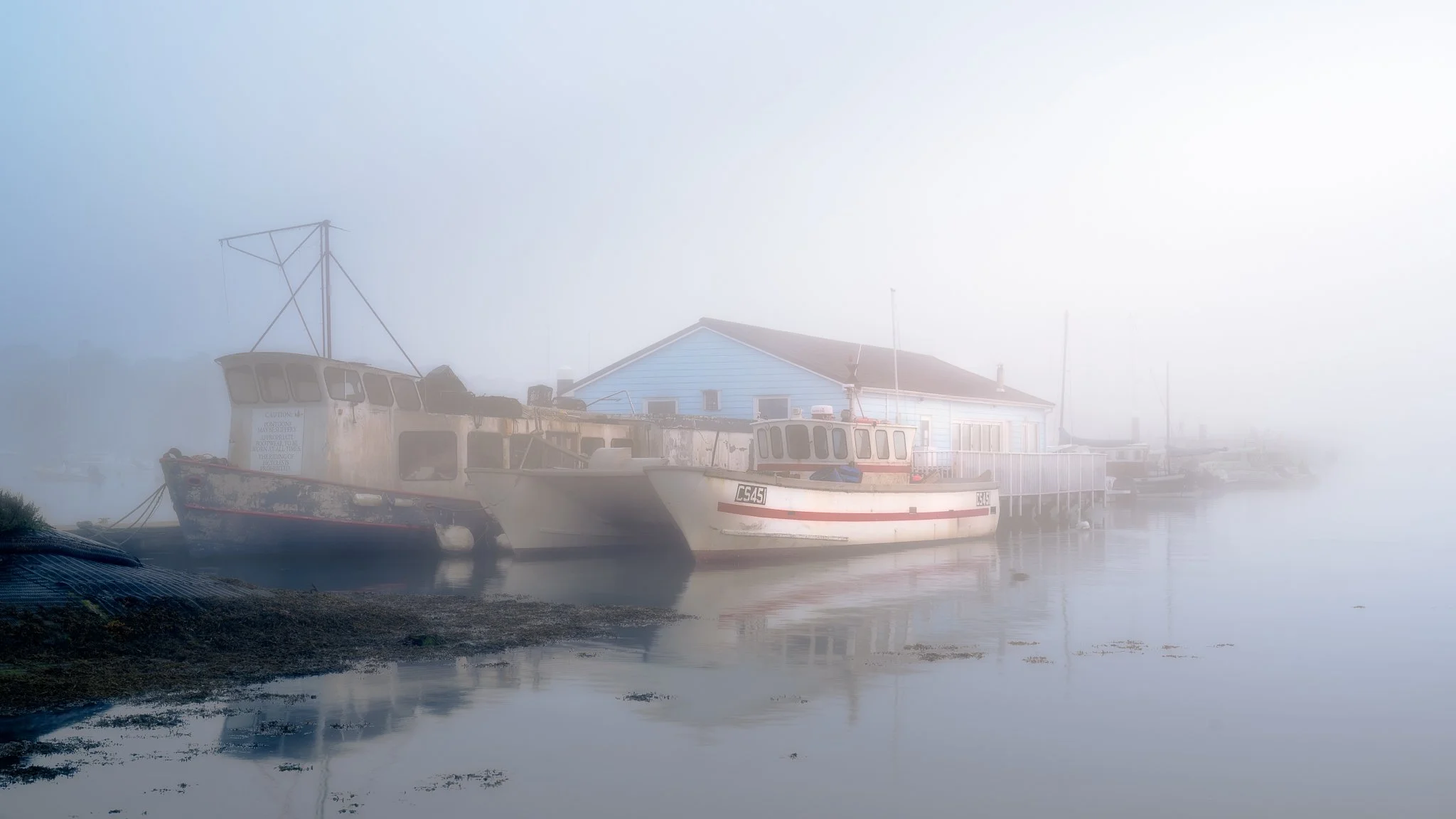 The Best Dressed Crab