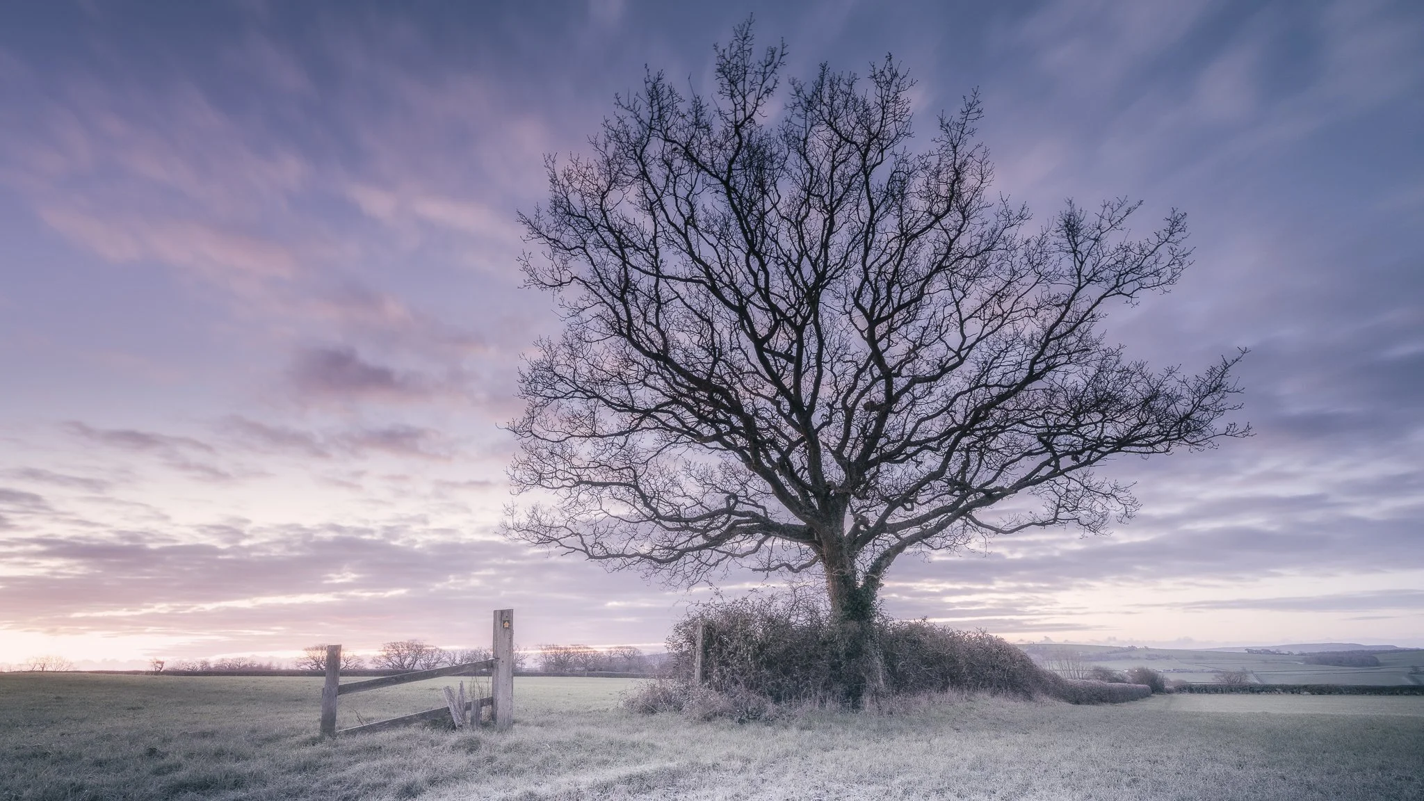 Frosty Dawn (Copy)