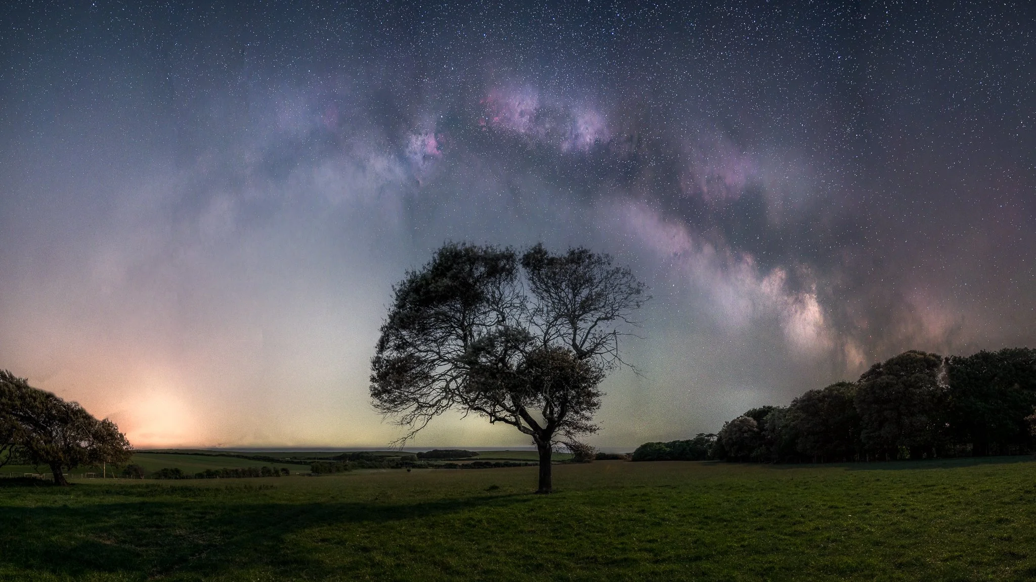 Celestial Tree