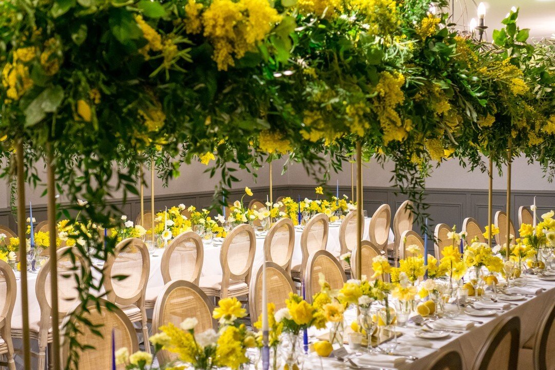 Two long dreamy tables with table canopy frames from our friend William @weddingmetalart and a tablescape of dreams with lemons 🍋 mimosa, gorgeous @esteranderik taper candles and chairs from our favourites @optionsgreathire ✨ ​​​​​​​​
​​​​​​​​
Venue