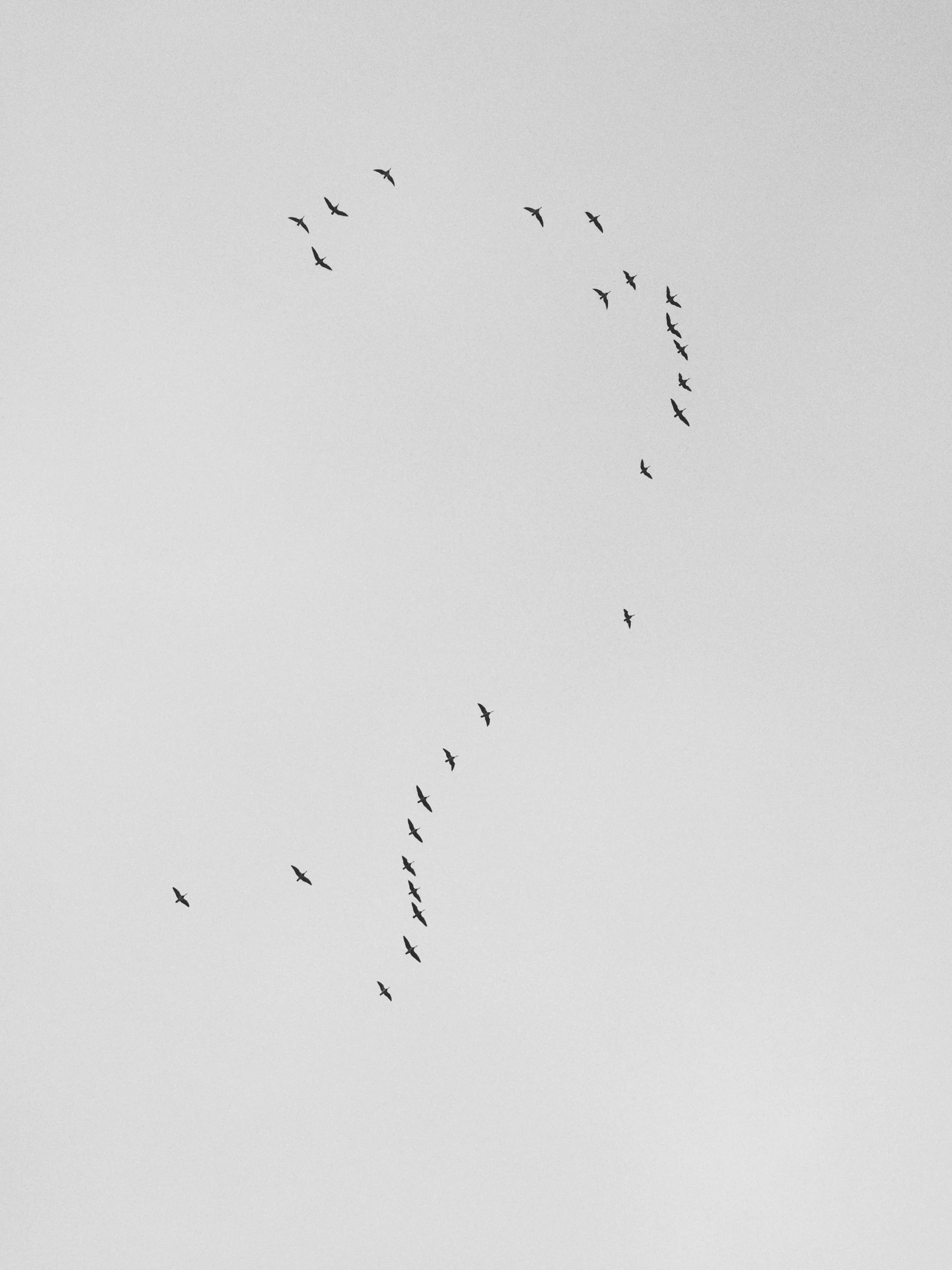 Let's Question Ourselves Part 4