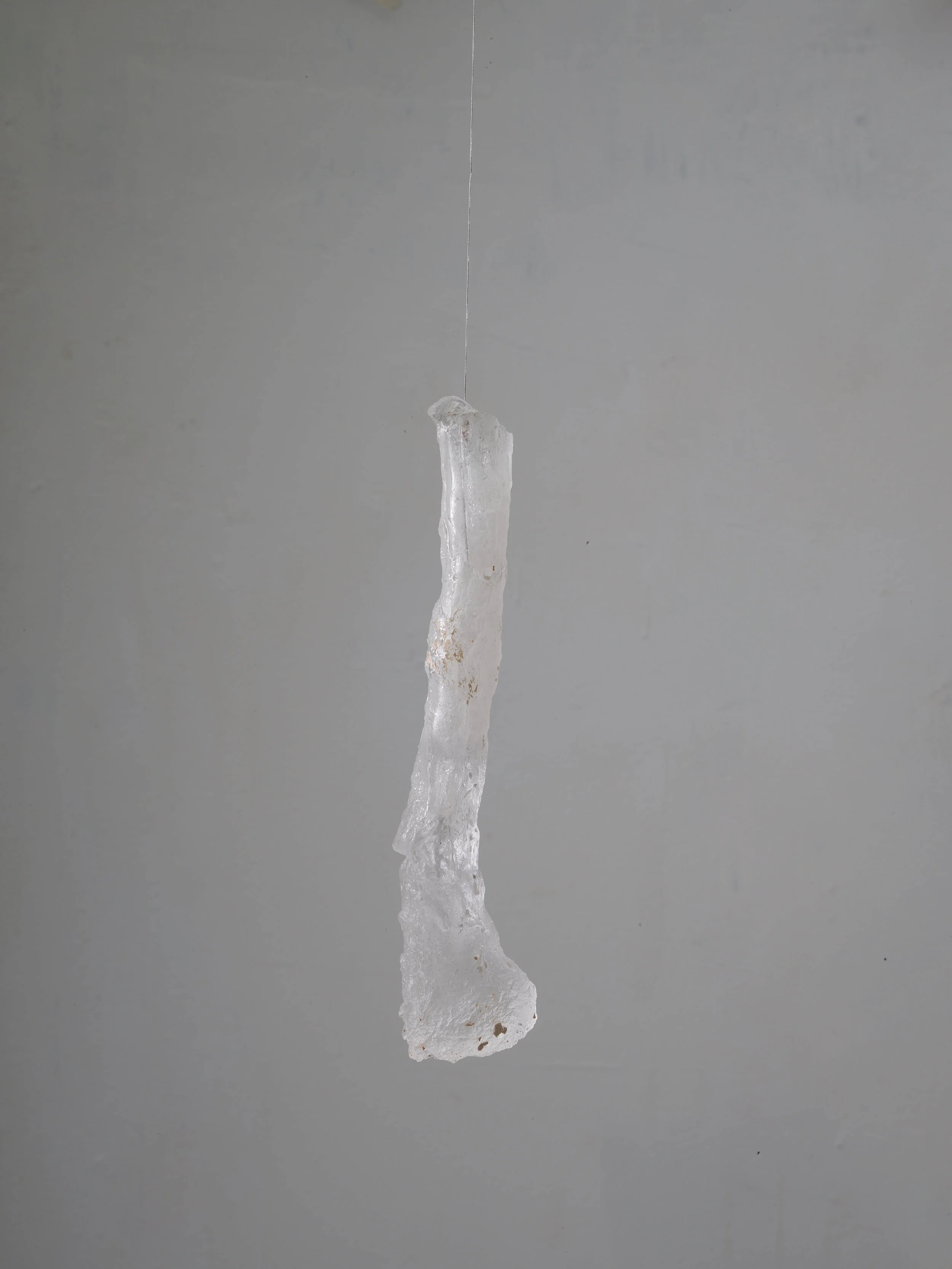 Hanging Branch 1