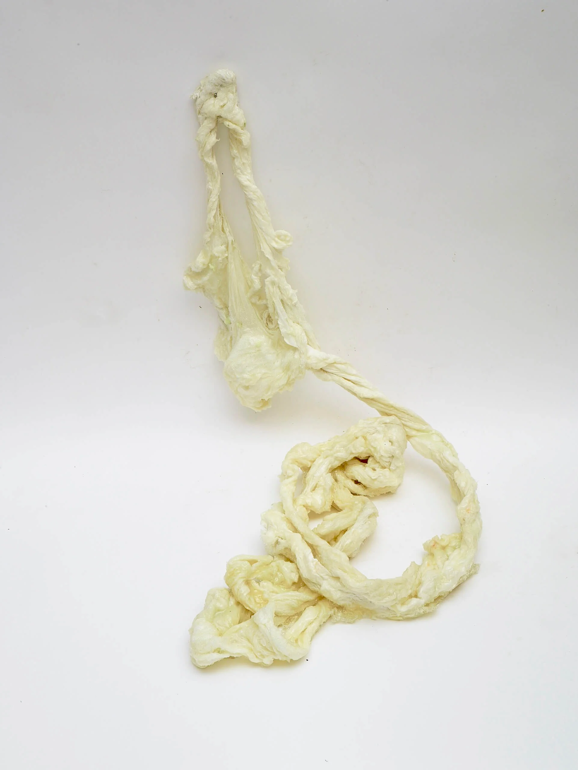 Bone Matrix 1 (light)