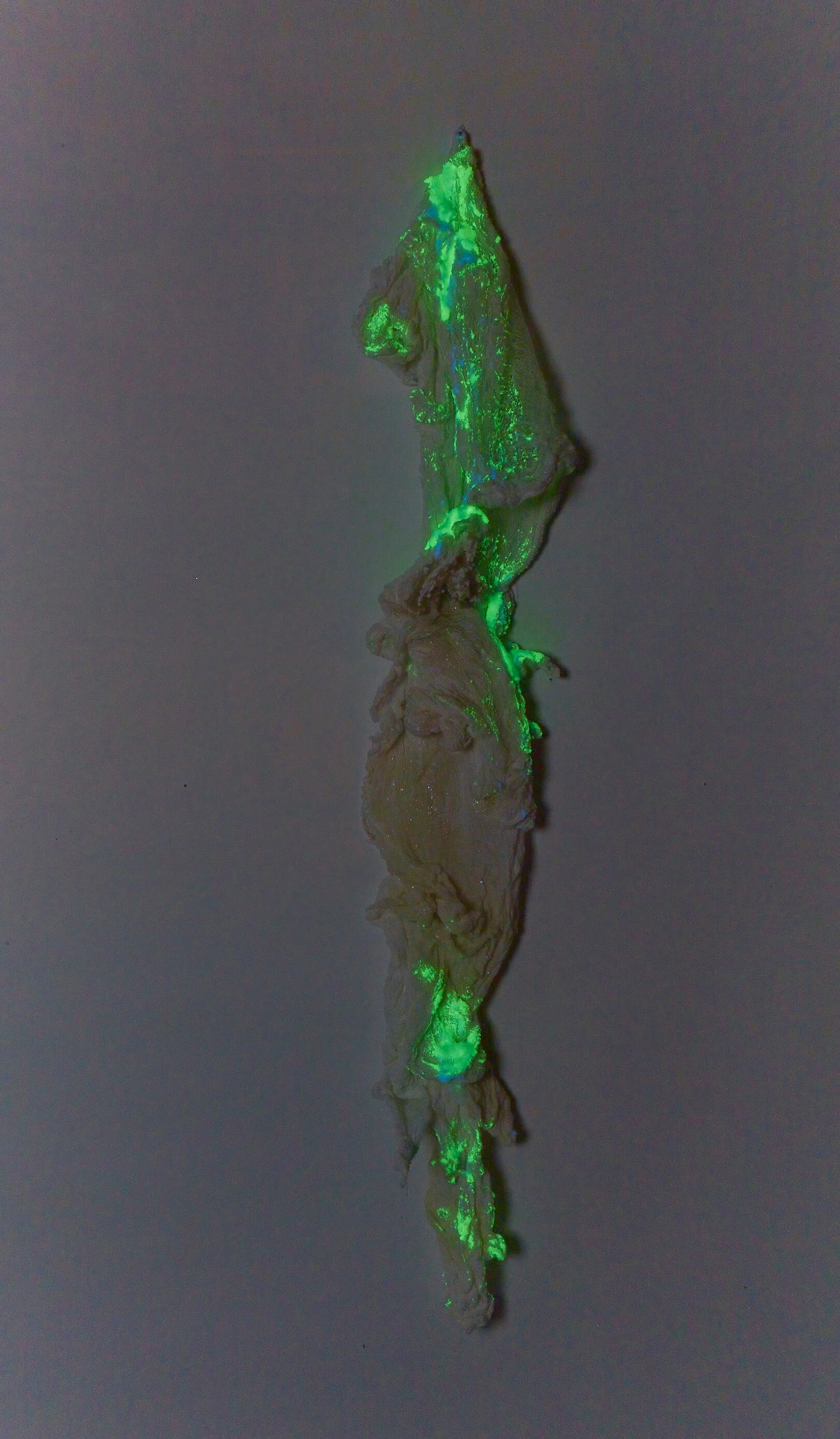 Bone Matrix 4 (dark)