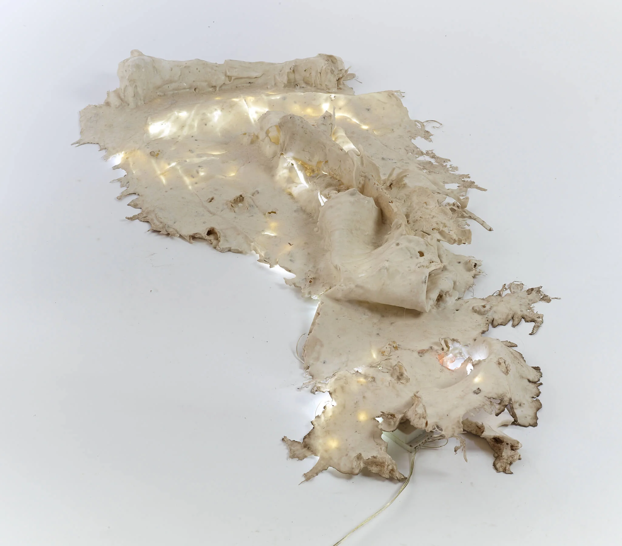 Femur (light)