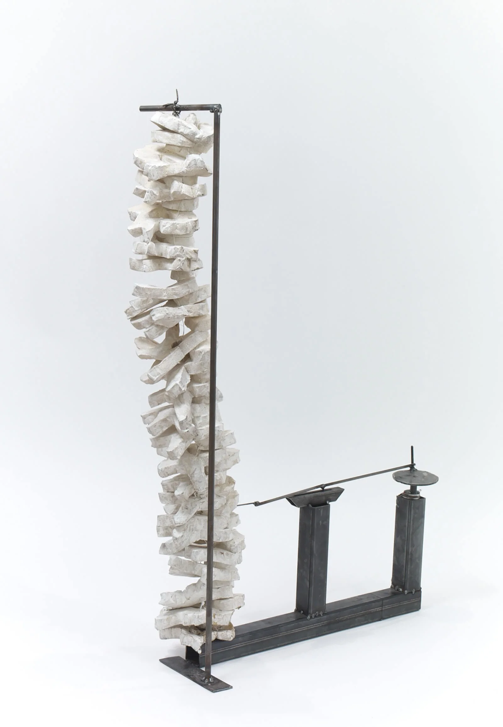 Vertebral Column