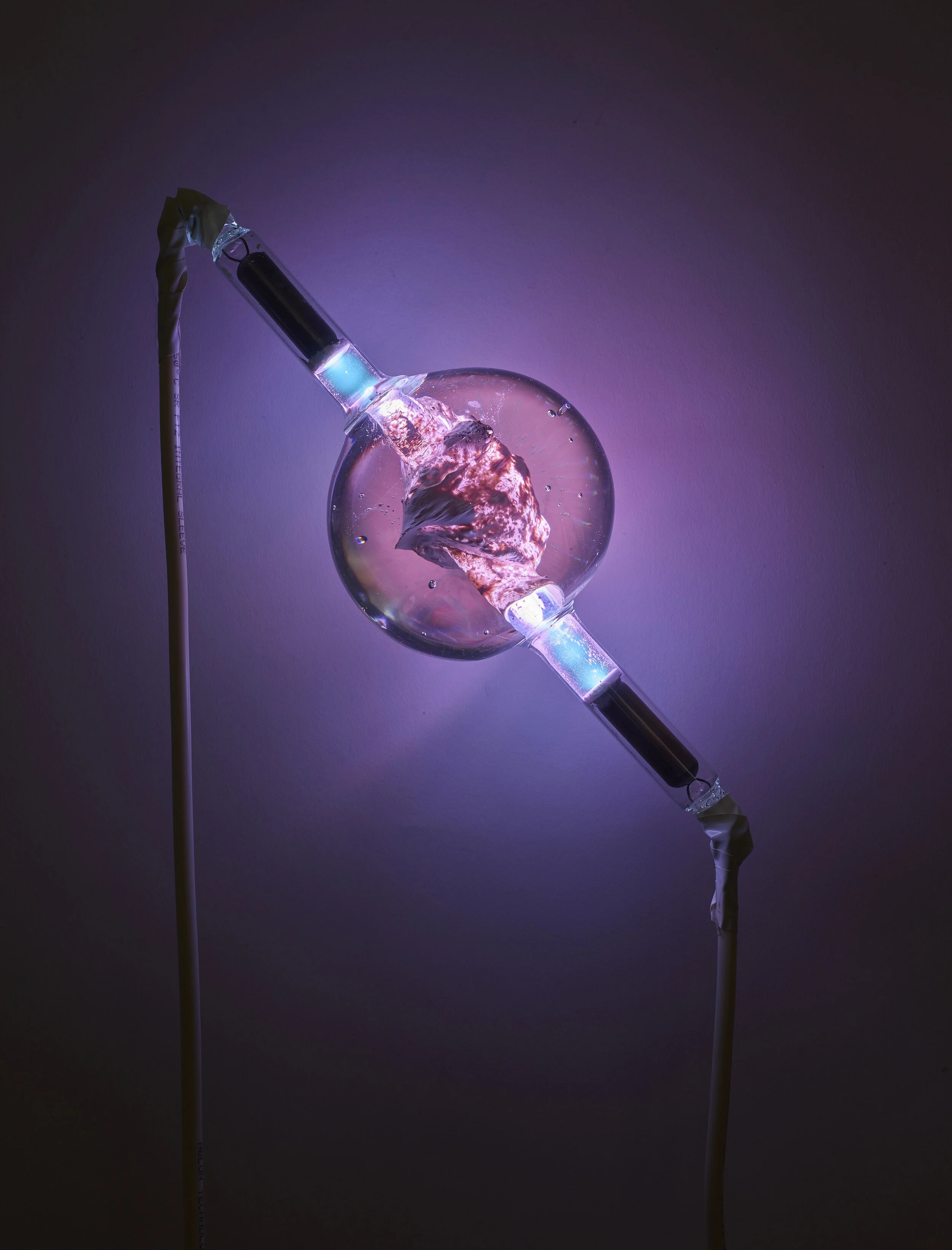 Glass, Echinoidea, Phosphorus, Argon gas, Vaporized mercury 4 x 11.5 x 4 inches 2019