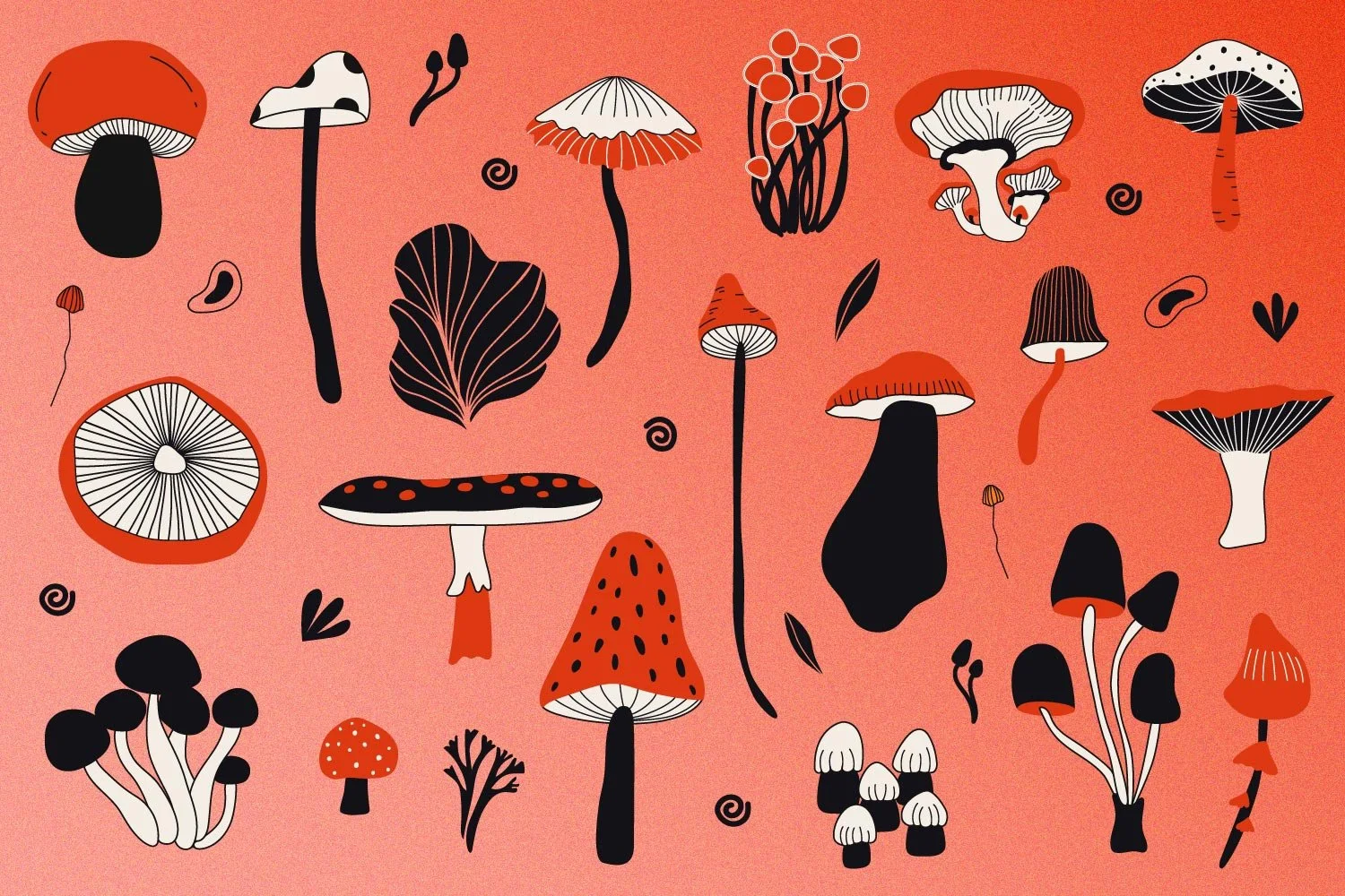 Why Mushrooms are Trending In The Food and Beverage Industry Consumers