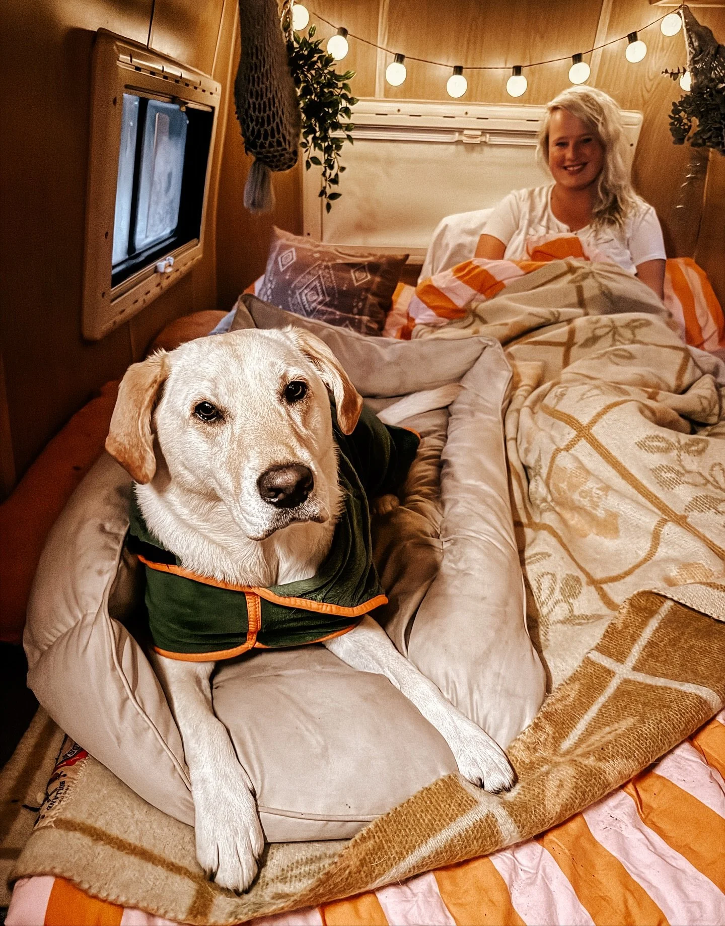 5 weken Zweden, 6000 kilometer, met ons 35-jarig oude bussie van Utrecht naar de Poolcirkel en weer terug, waanzinnige wildkampeerplekjes aan het water, op een eiland, 800 meter hoog in de bergen, bij een hondenopvang, naast een waterval, aan een str