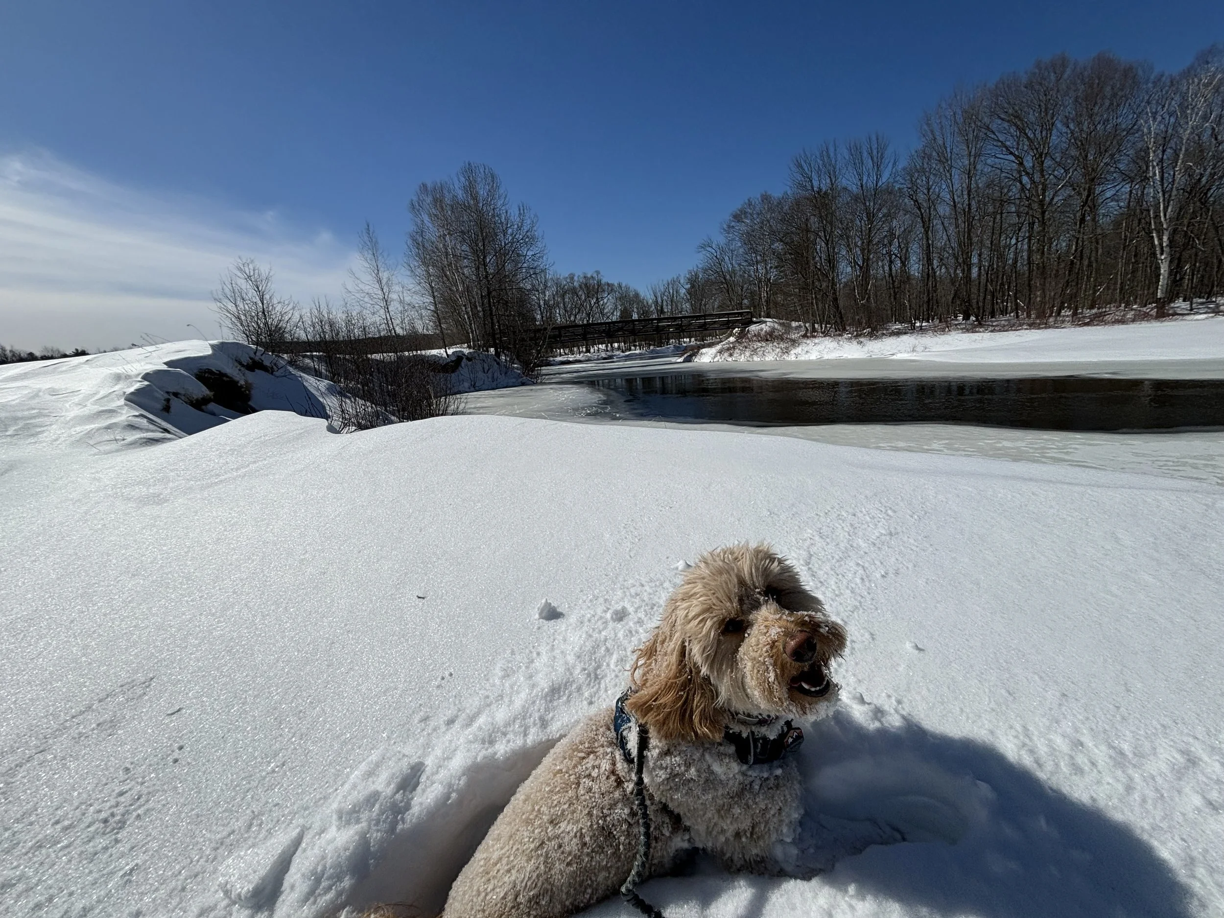 Cold Plunging.jpg