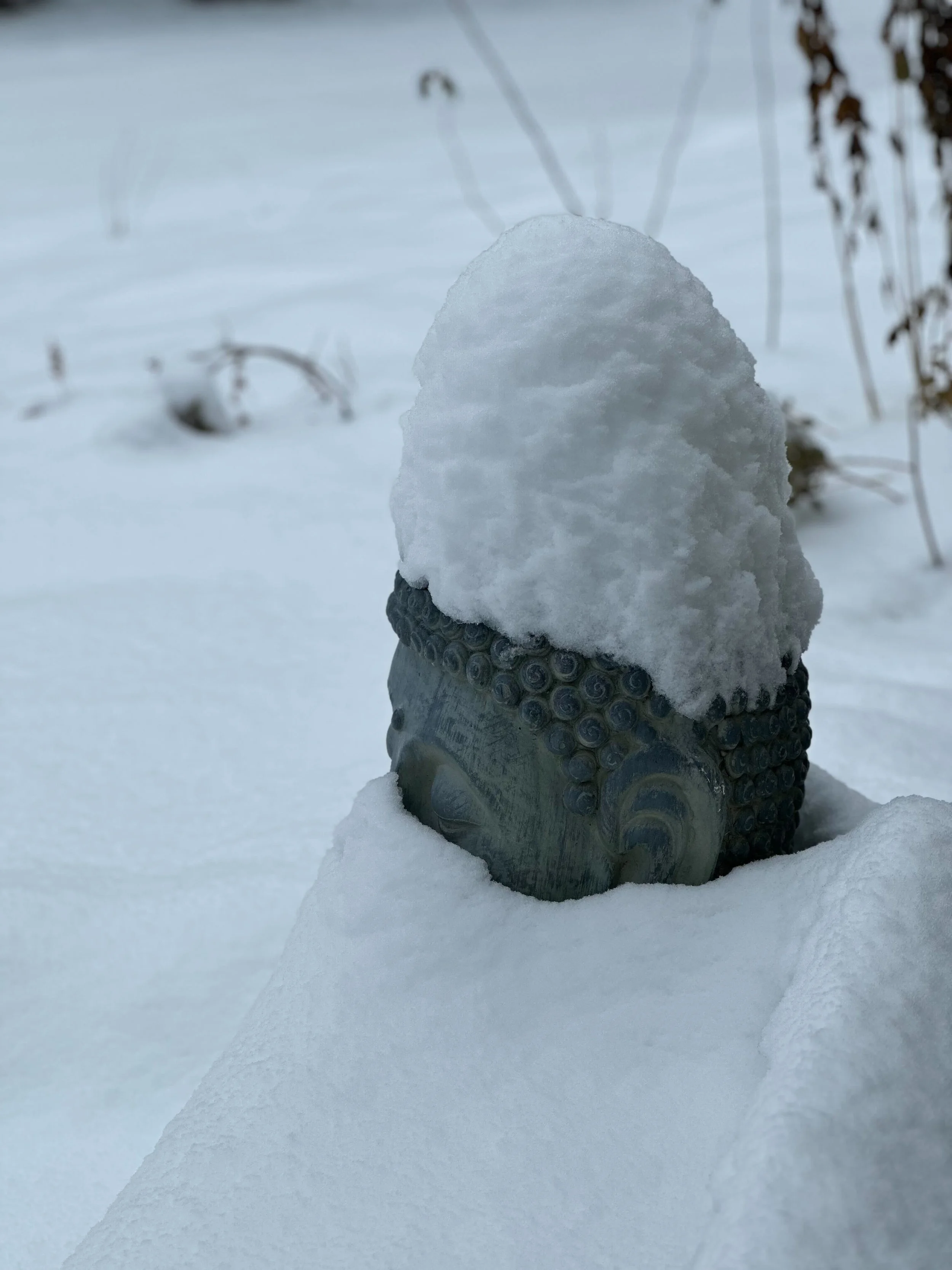 Wintering: A Solstice Celebration