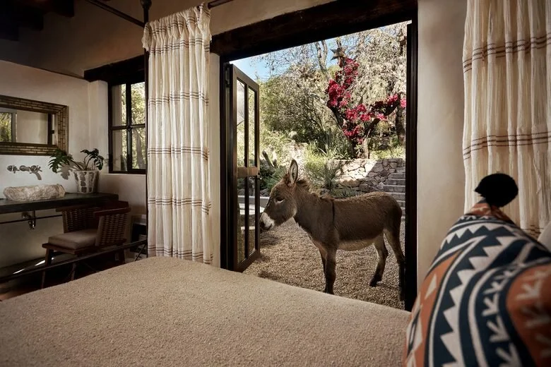 9 - Close to nature.jpg