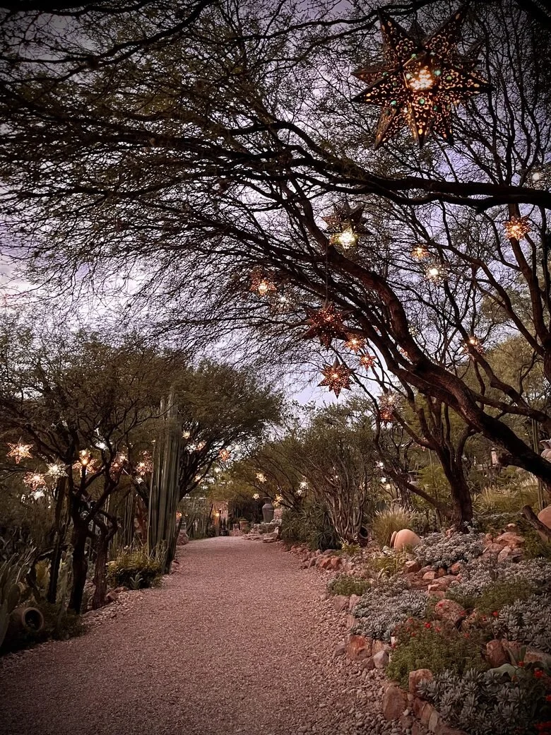 37 - Magical outdoors.jpg