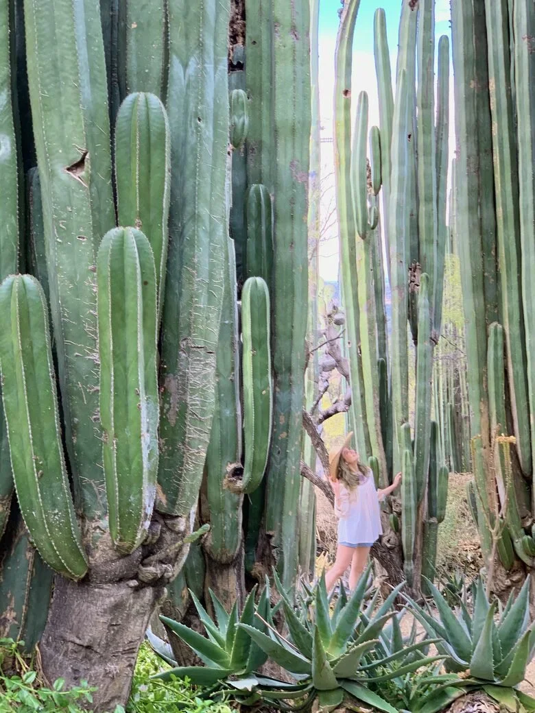 43 - The great outdoors.jpg