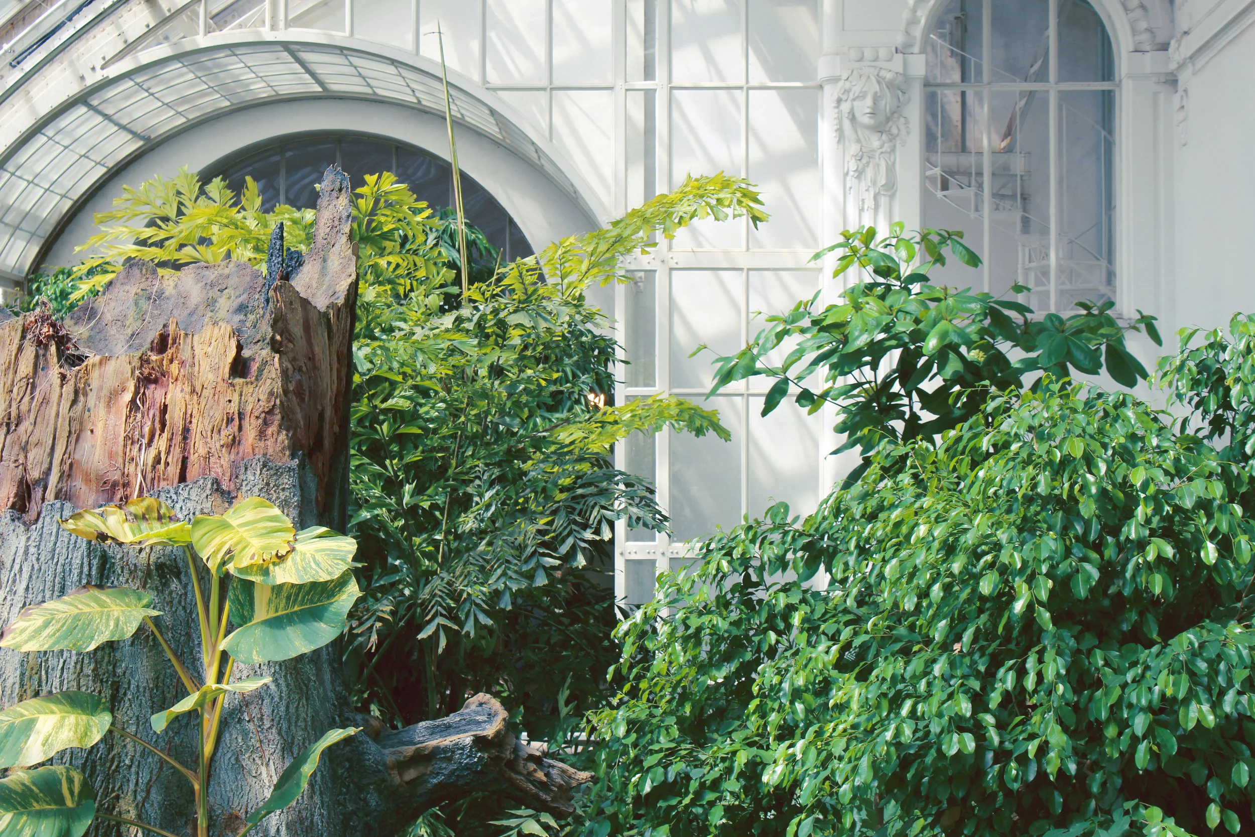 Tend Your Inner Garden: A Summer Coaching Program