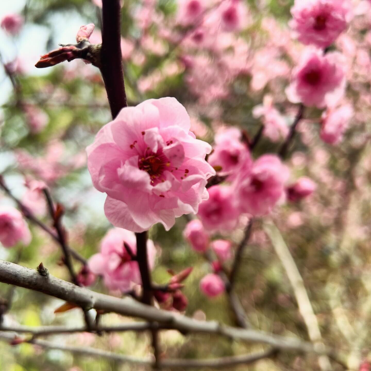 Cultivating creative wellbeing fosters renewal for the mind, body and spirit. 

Renew your sense of belonging, connection to nature&rsquo;s seasons and cycles, and bring more enchantment to your day to day living.

Join us this Sunday, March 17th, 10