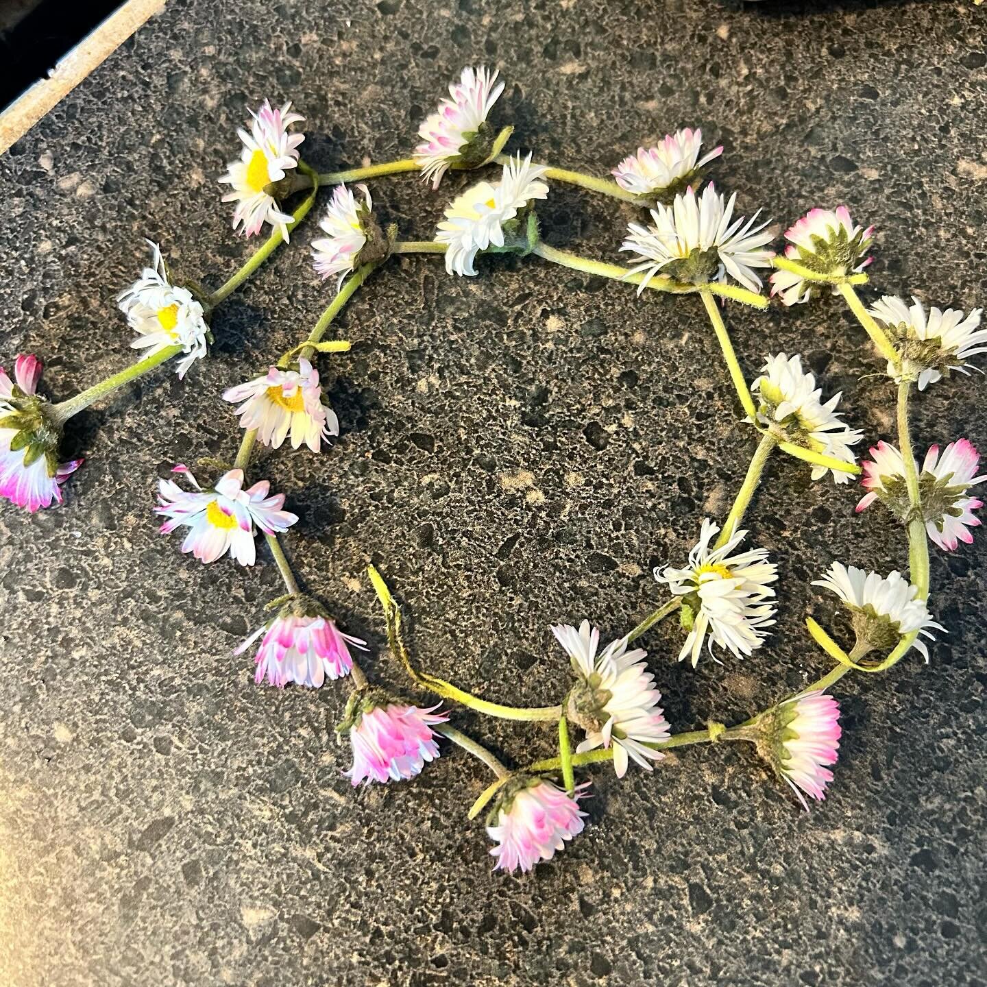 I was delighted to find this daisy chain on the counter yesterday on the eve of the equinox.

I found several trees in full bloom on my walk.

Today we are officially in Spring.

There are new fabrics for the eye and neck pillows in the Here &middot;