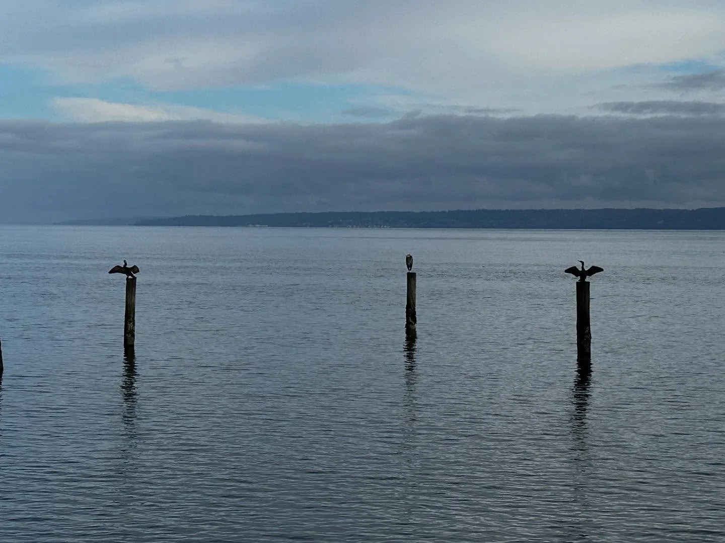 &ldquo;Nothing need be thought or said. There is a way of beholding that is a form of prayer.&rdquo; -Diane Ackerman