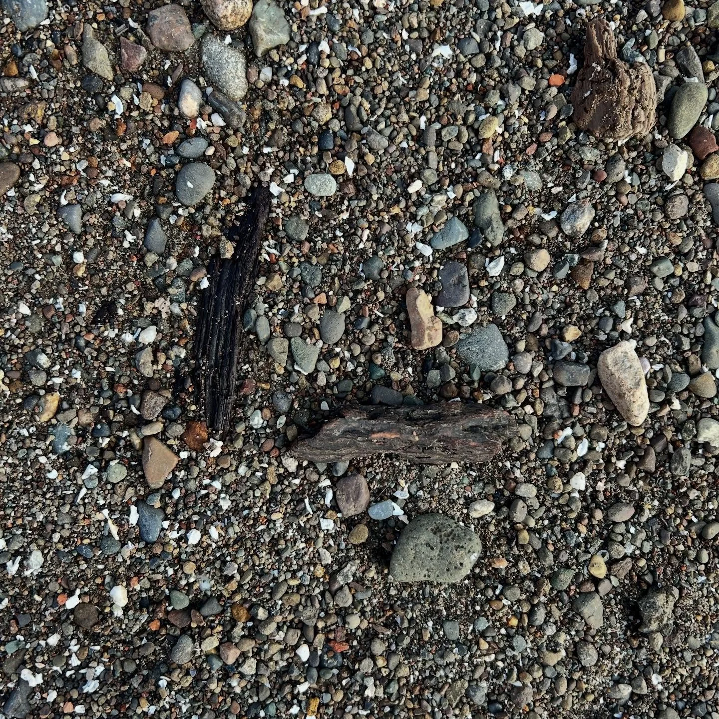 See the beauty, share the love, and &ldquo;keep some room in your heart for the unimaginable&rdquo; - Mary Oliver 

We create this world with every breath and every encounter. We really are the change. Even if we don&rsquo;t see it now, let&rsquo;s k