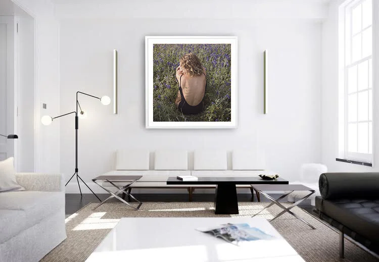 lavandula