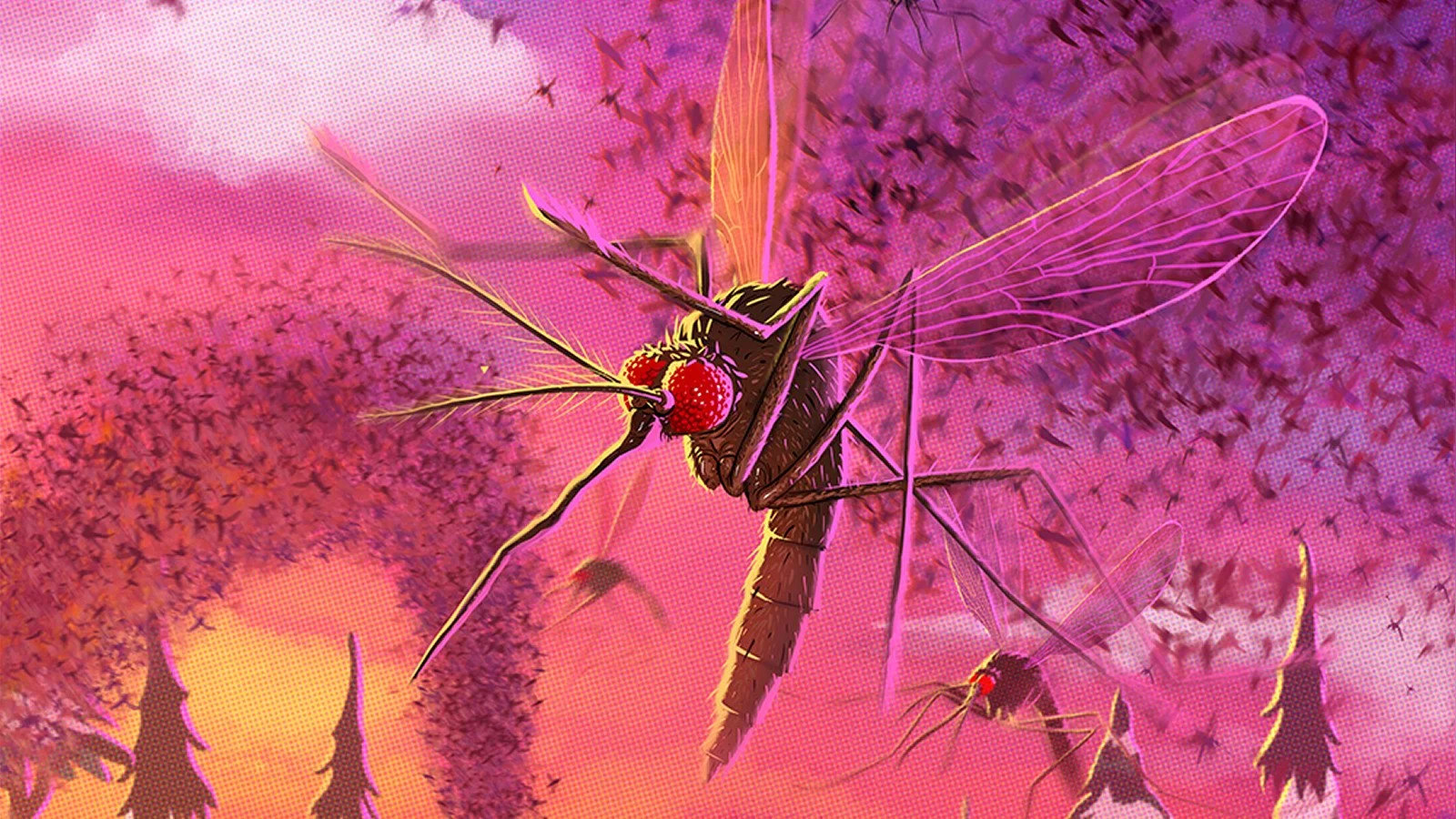 Slideshow_SPPD_MOsquito.jpg