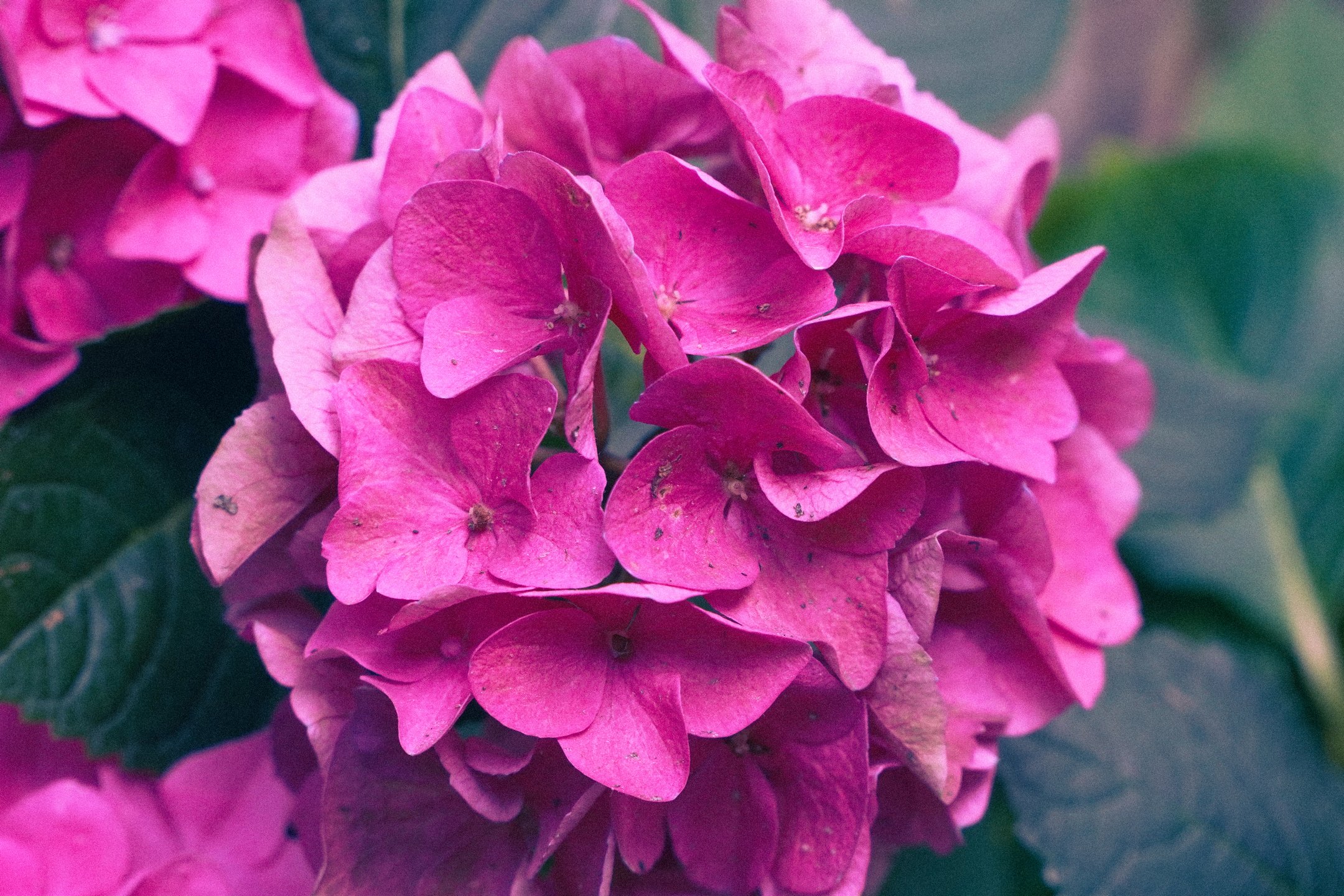 DSC05513_web.jpg