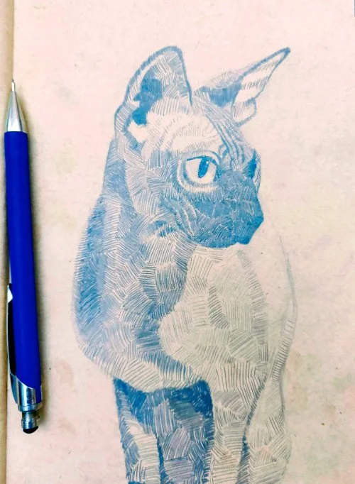 Cat drawing - mechanical pencil