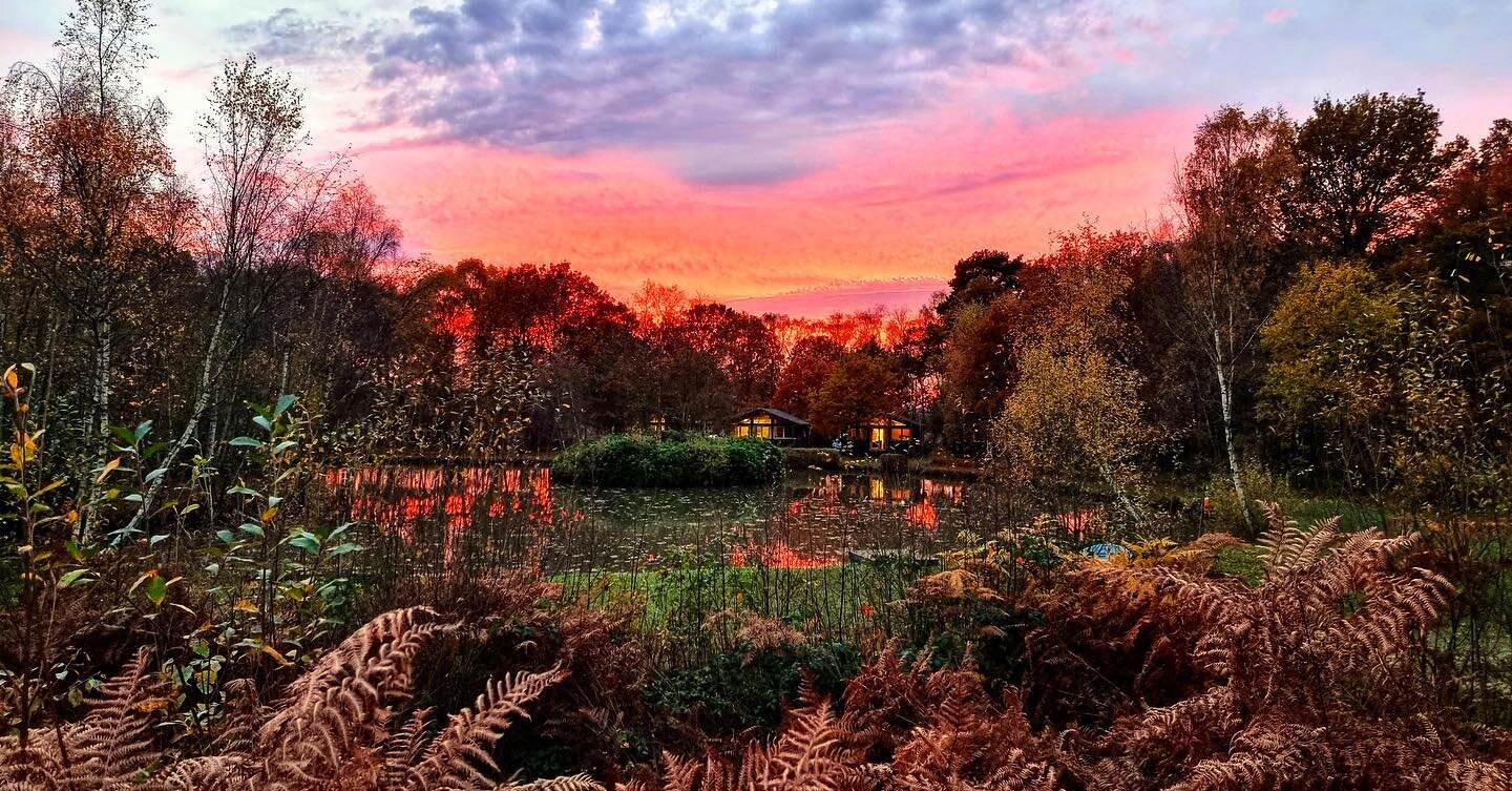 A beautiful autumn evening at The Great Wood 🍁🍂 

We can&rsquo;t believe we are in the middle of November already, this year has flown by and we can&rsquo;t thank our incredible guests enough for keeping us so busy!