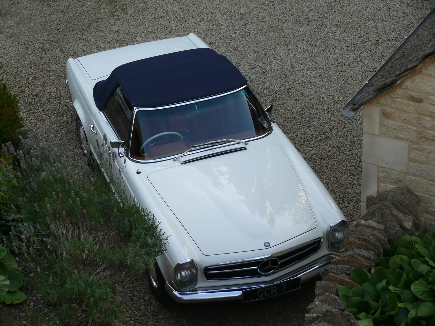 m1.jpg