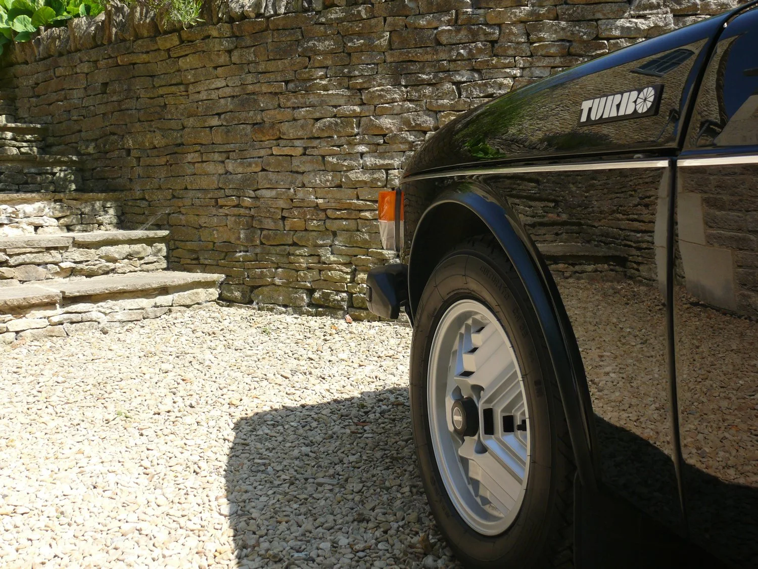 sd12.jpg