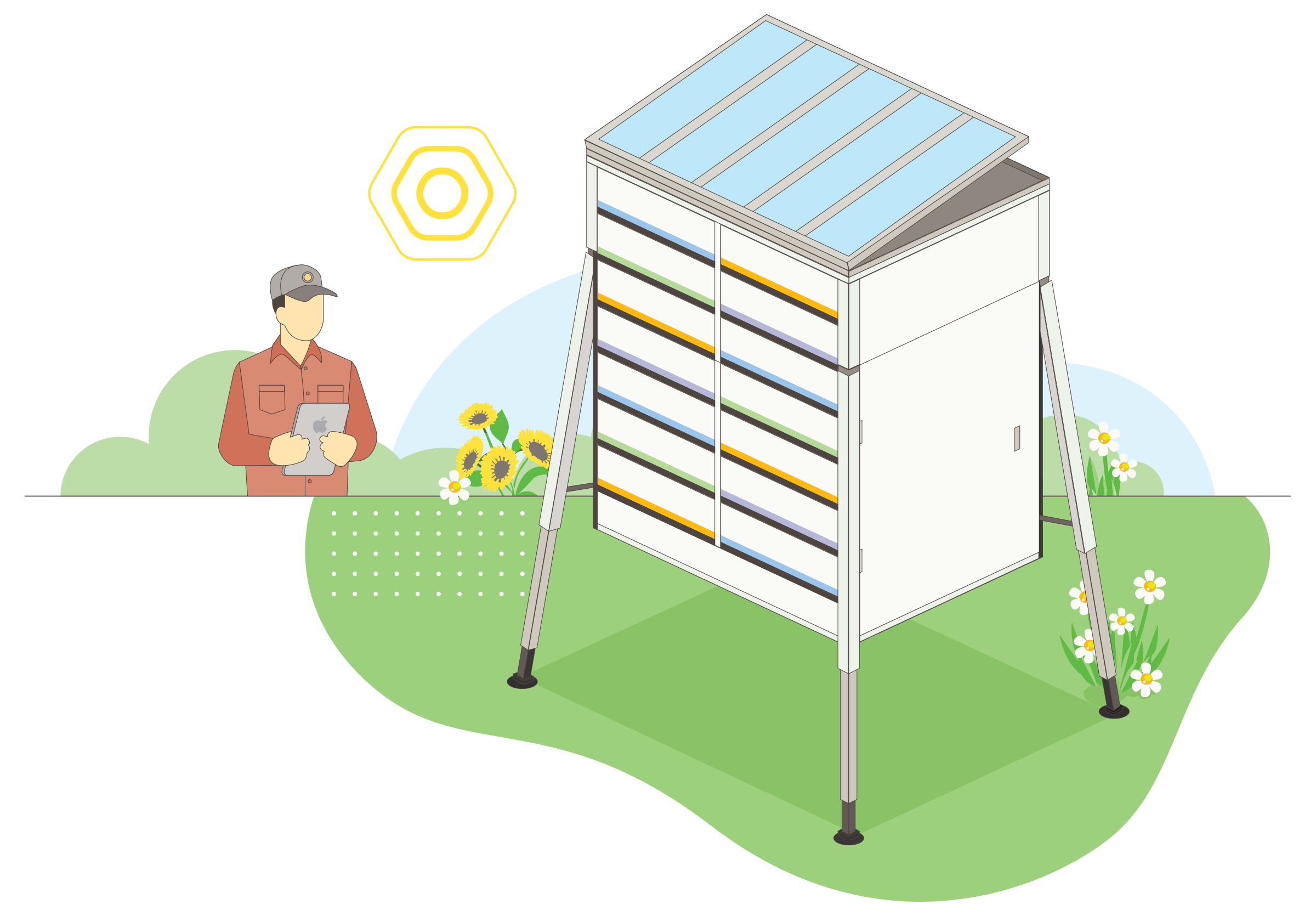 think bee bolsa price