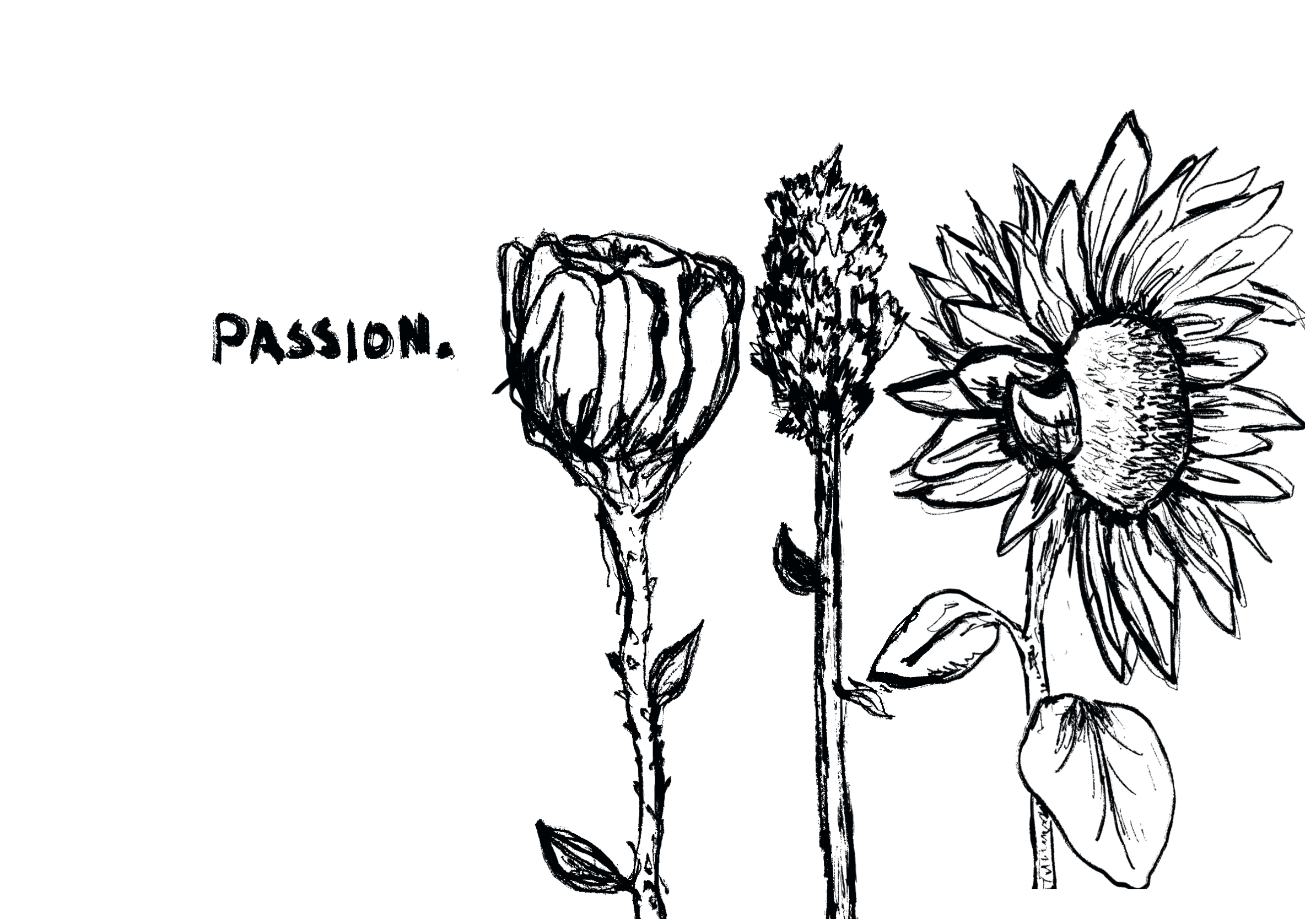 Untitled_Artwork 18.PNG