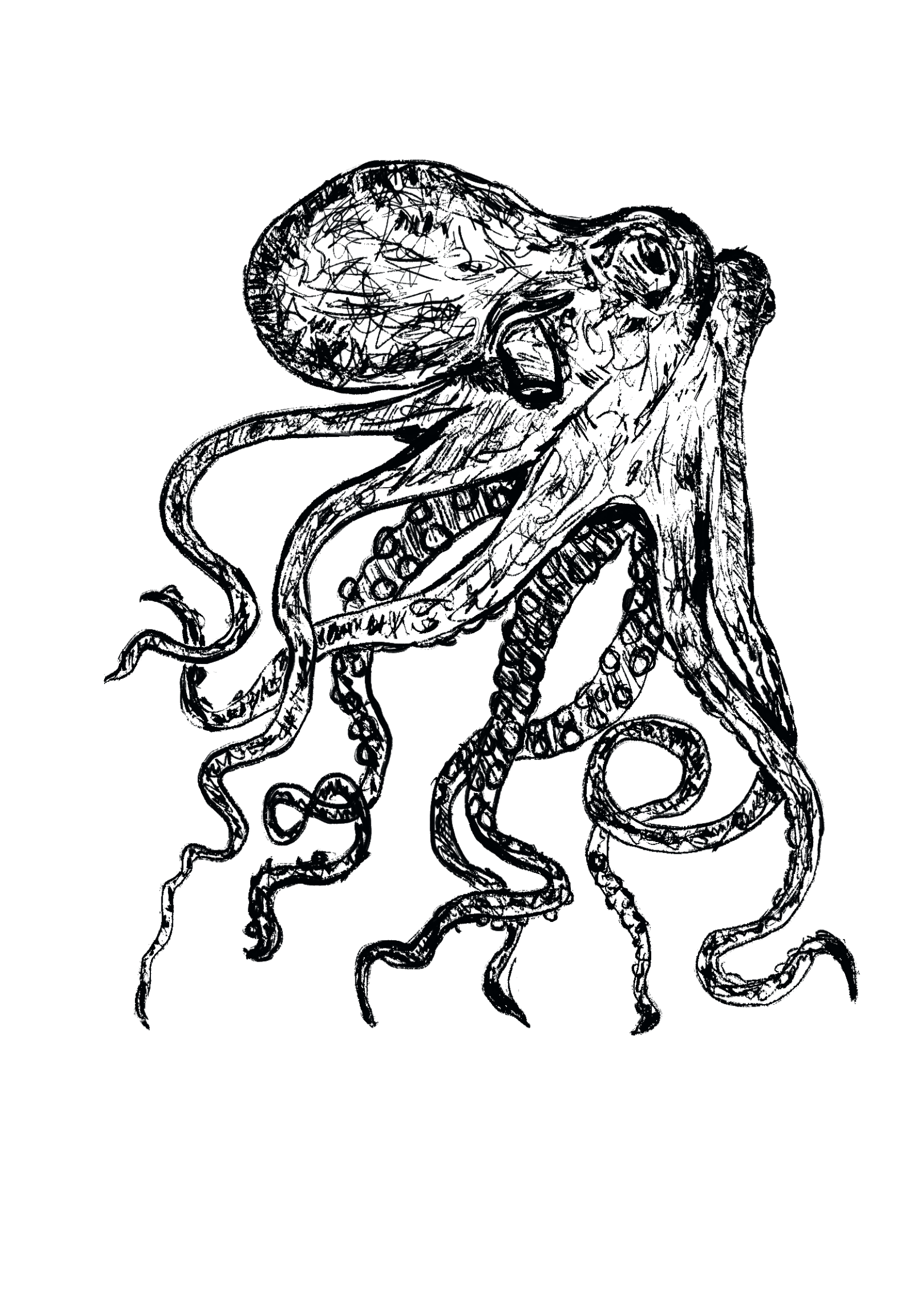 Untitled_Artwork 19.PNG