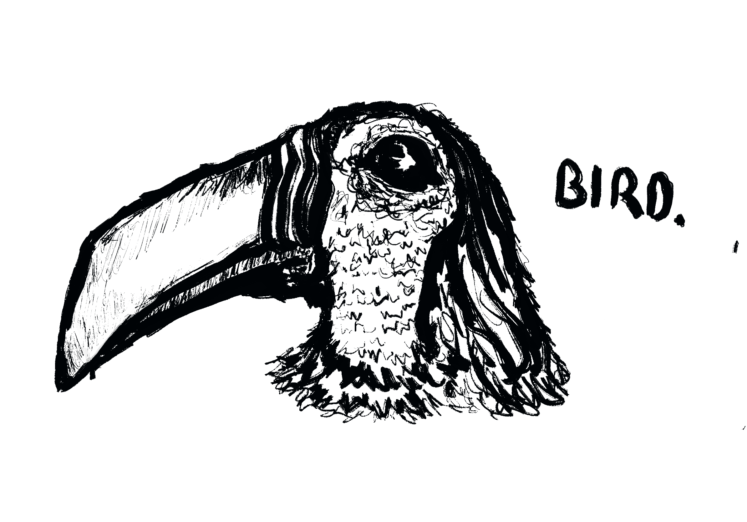 Untitled_Artwork 1.PNG