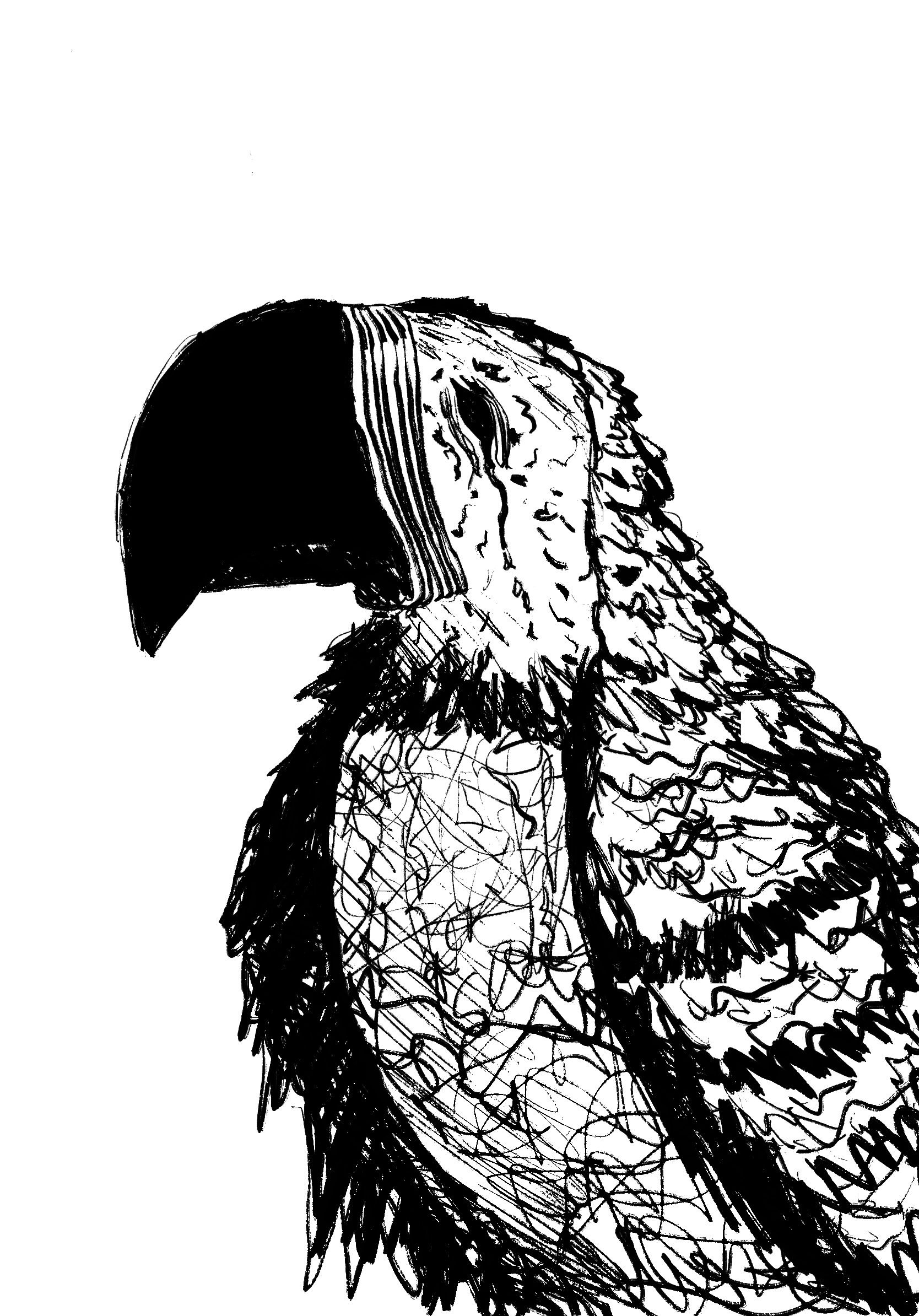 Untitled_Artwork 37.PNG