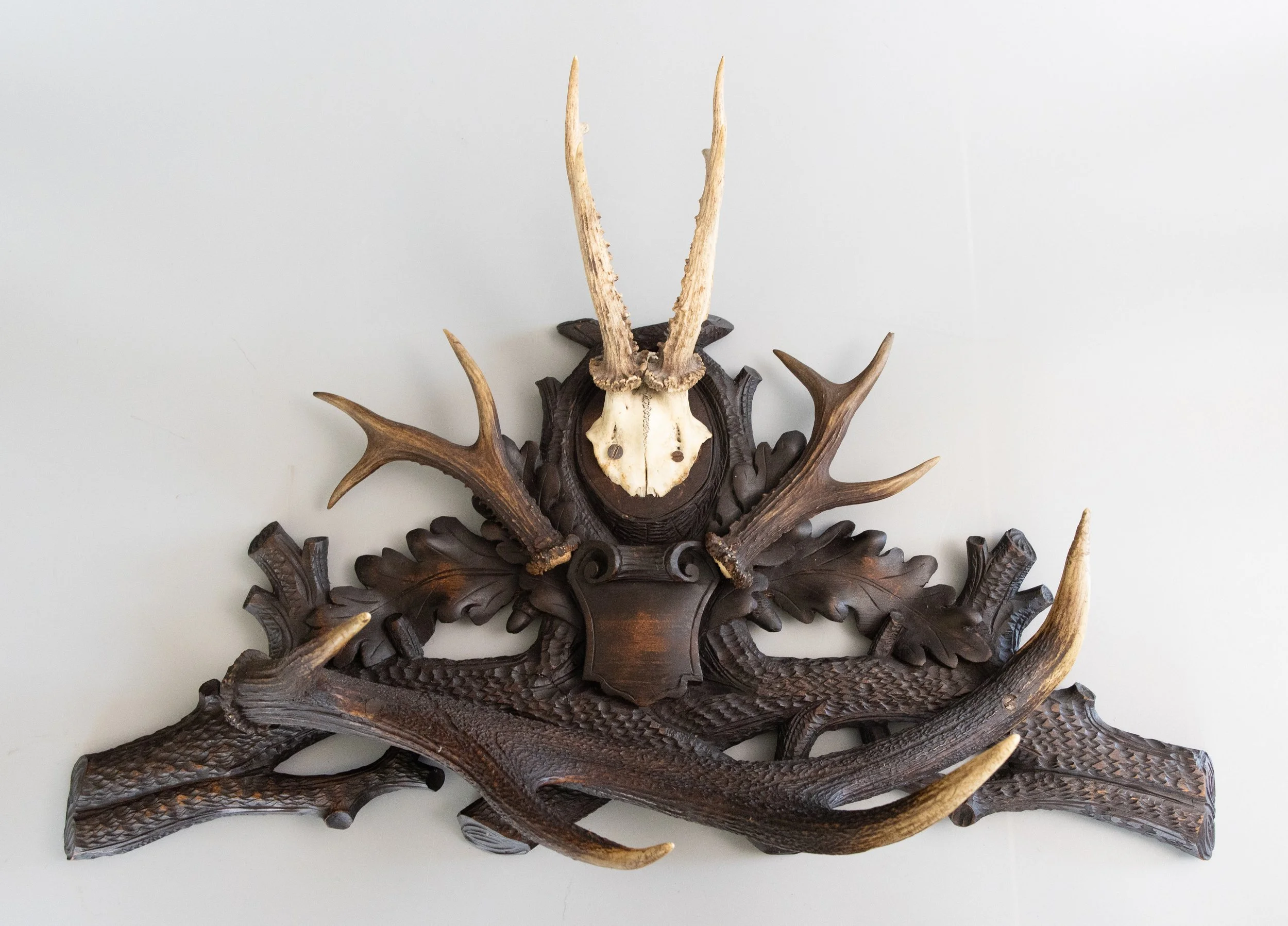 19th Century Black Forest Antlers Trophy Mount Mantel Wall Plaque