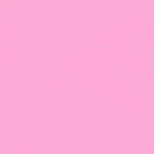 pink bckground 2.jpg