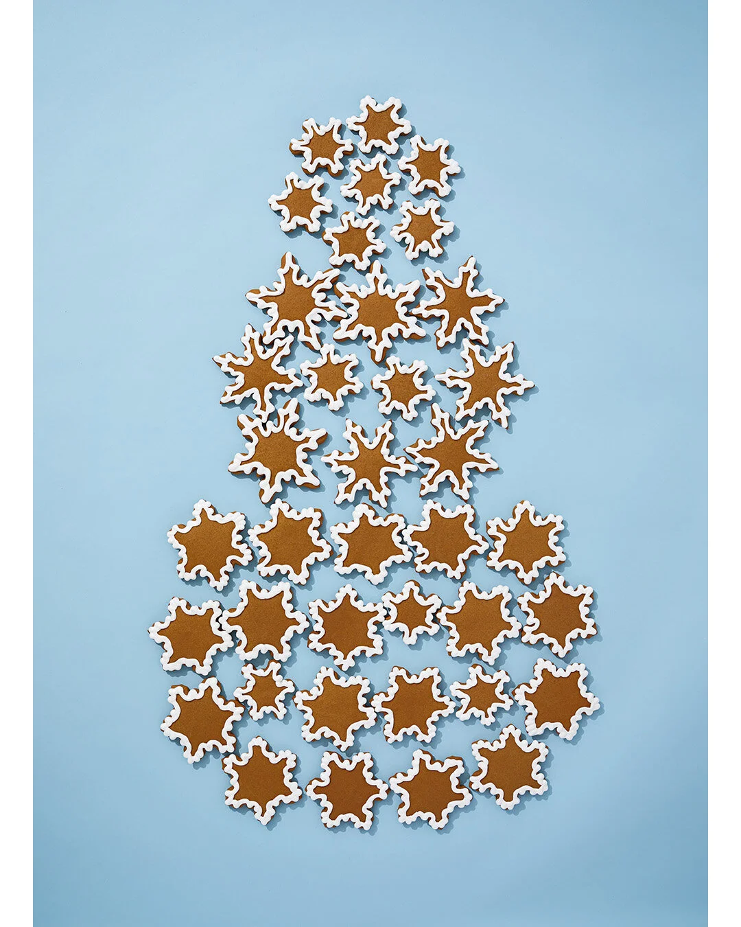 GingerB_SnowMan_Insta.JPG