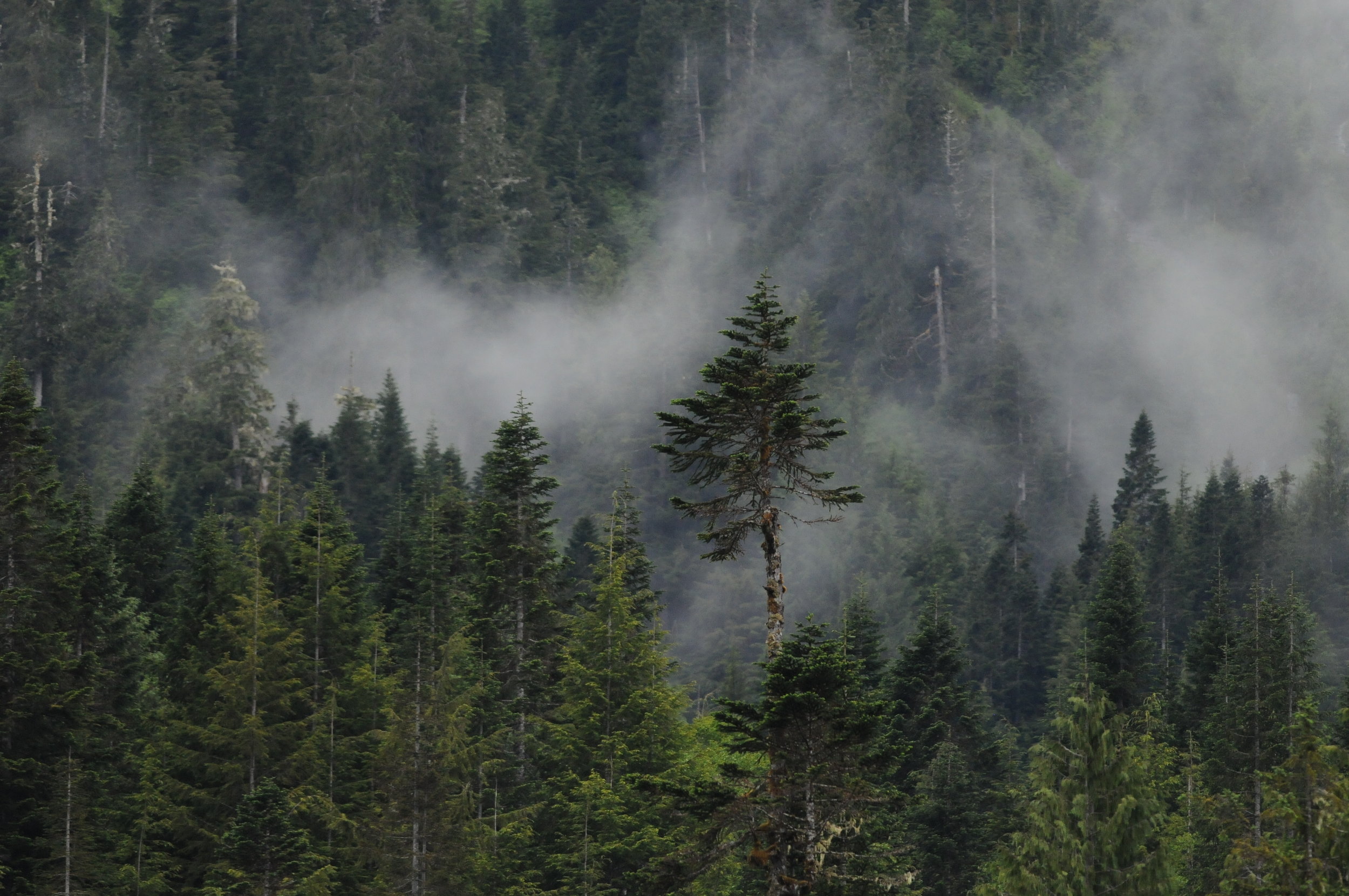 DSC_3855.jpg