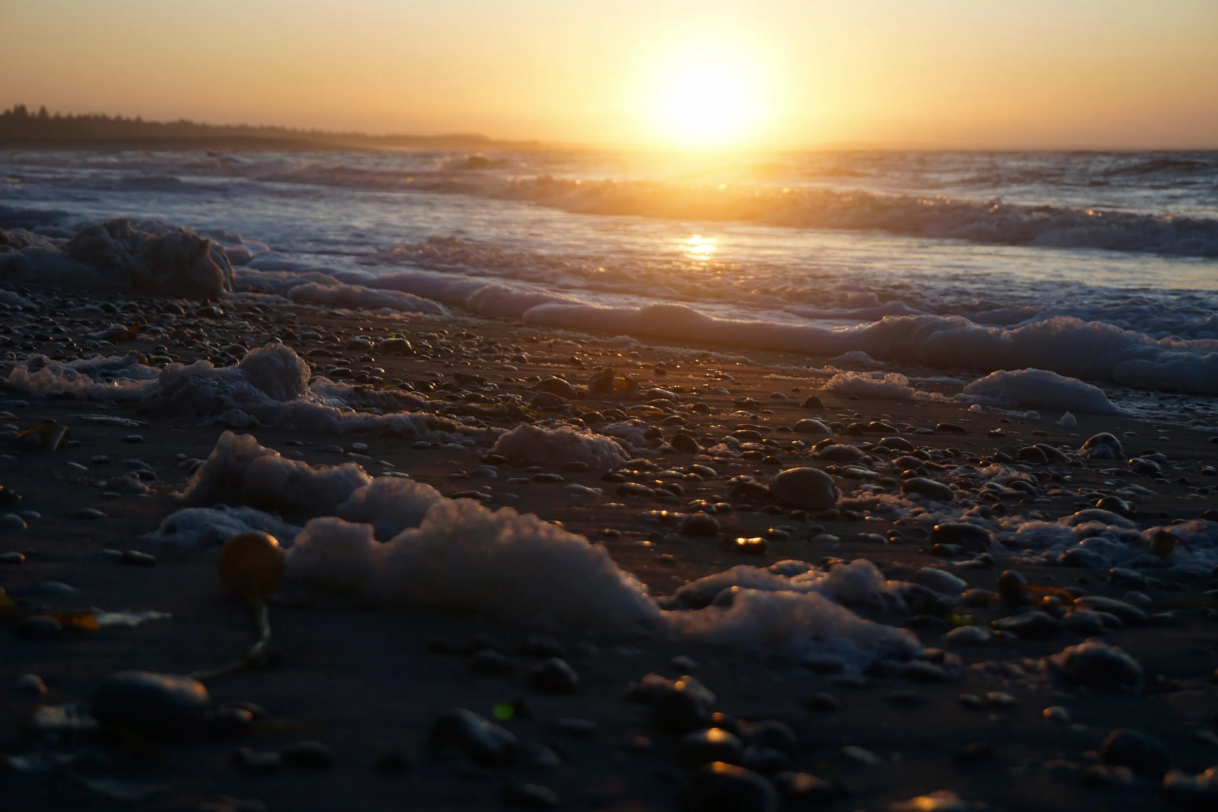 North Beach Setting.