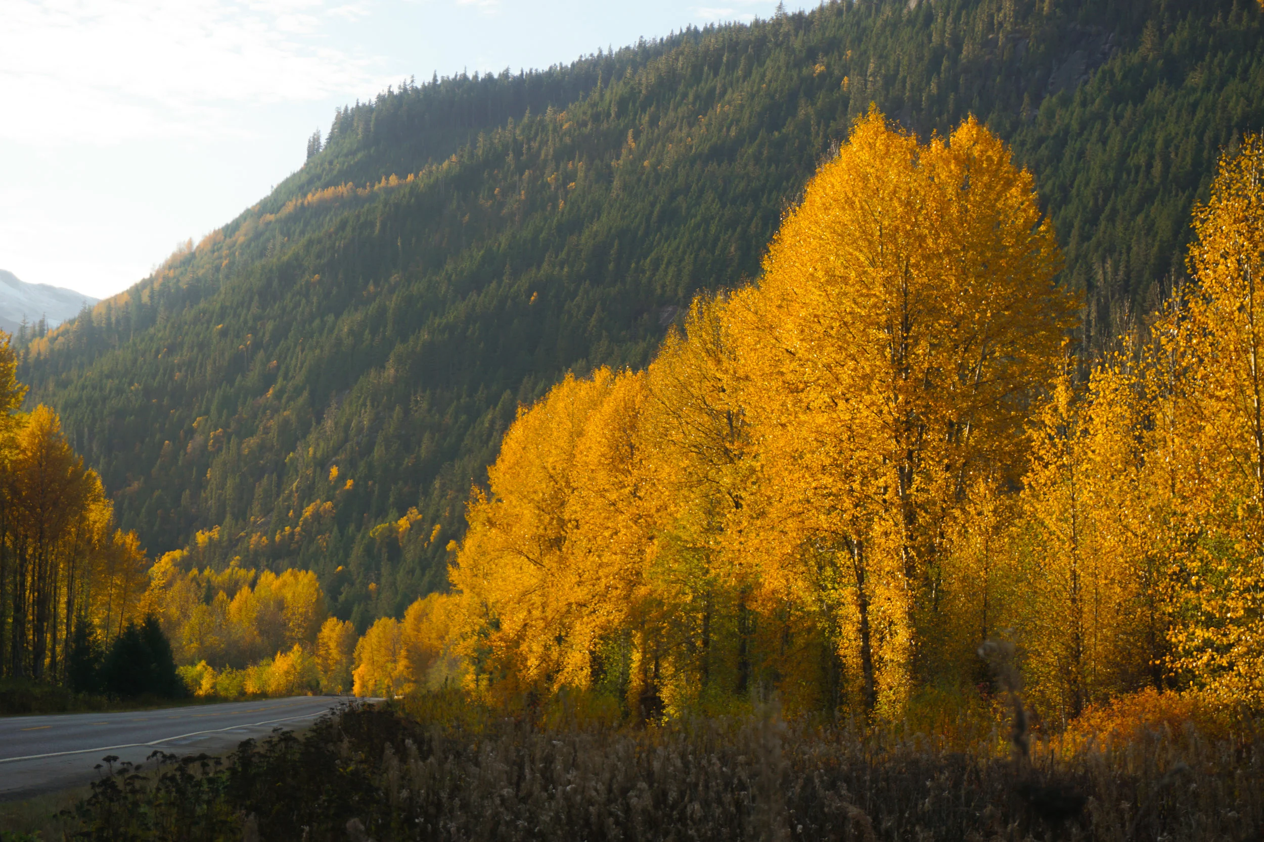 Skeena Colours