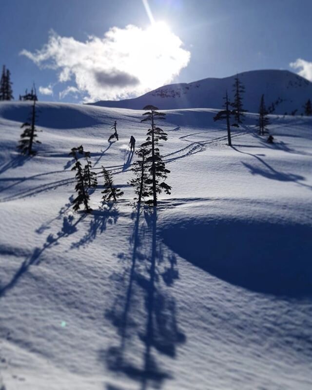 The was  final Ski ⛷ #springski #makehay #skeenawild #frozencement #skitouring🎿 #northernbc #cruisy