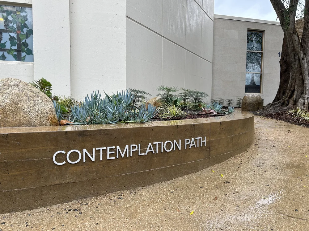 Contemplation Path Rain.jpg