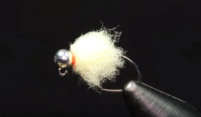 Fly of the Month - November